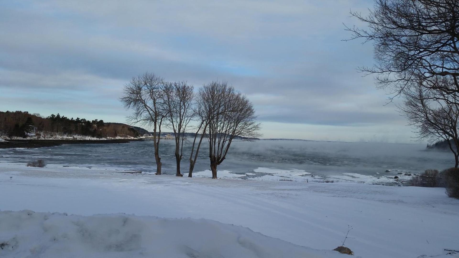 Saltair Inn Waterfront B&B photo 30