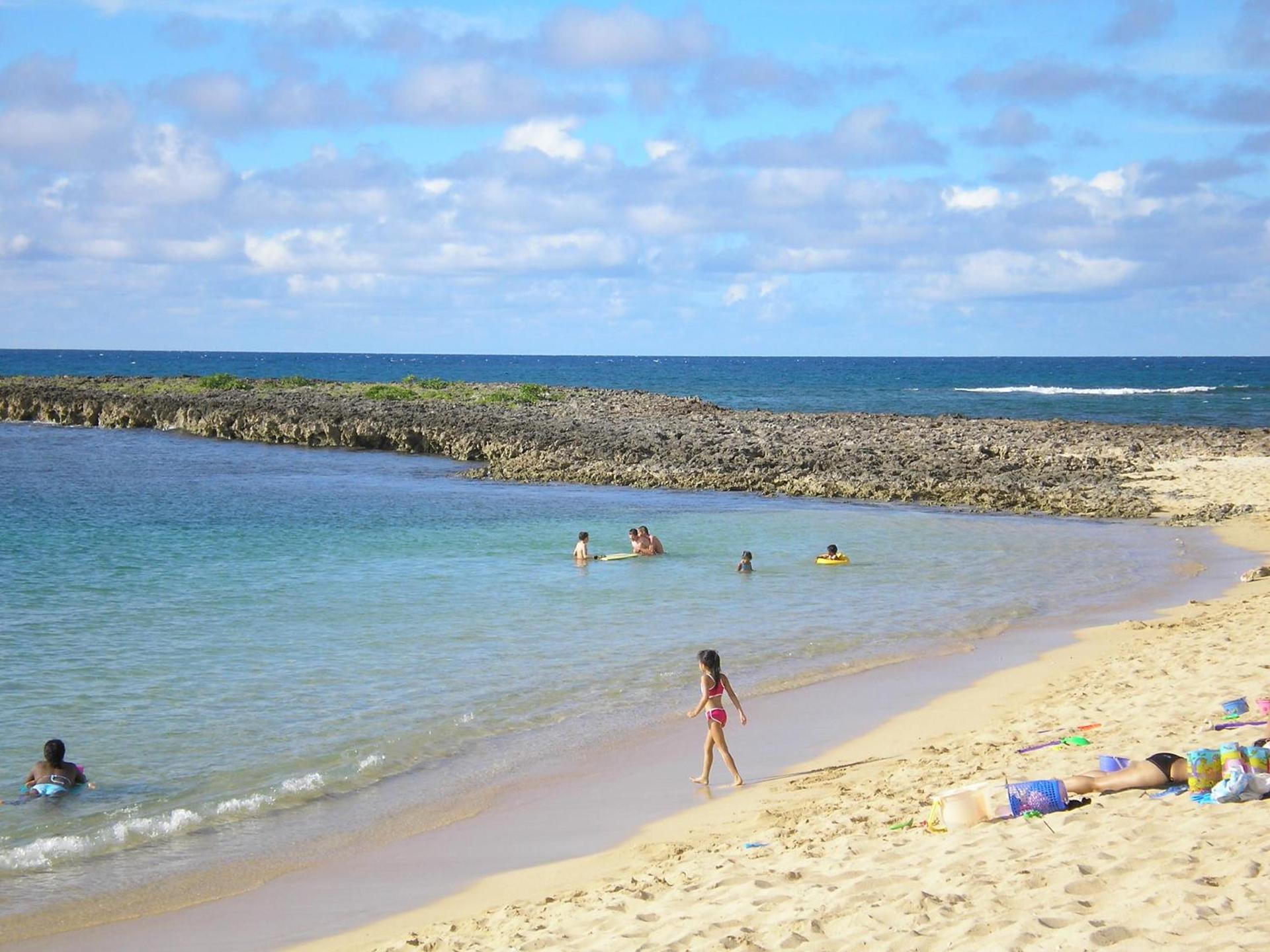 The Turtle Bay Signature photo 15