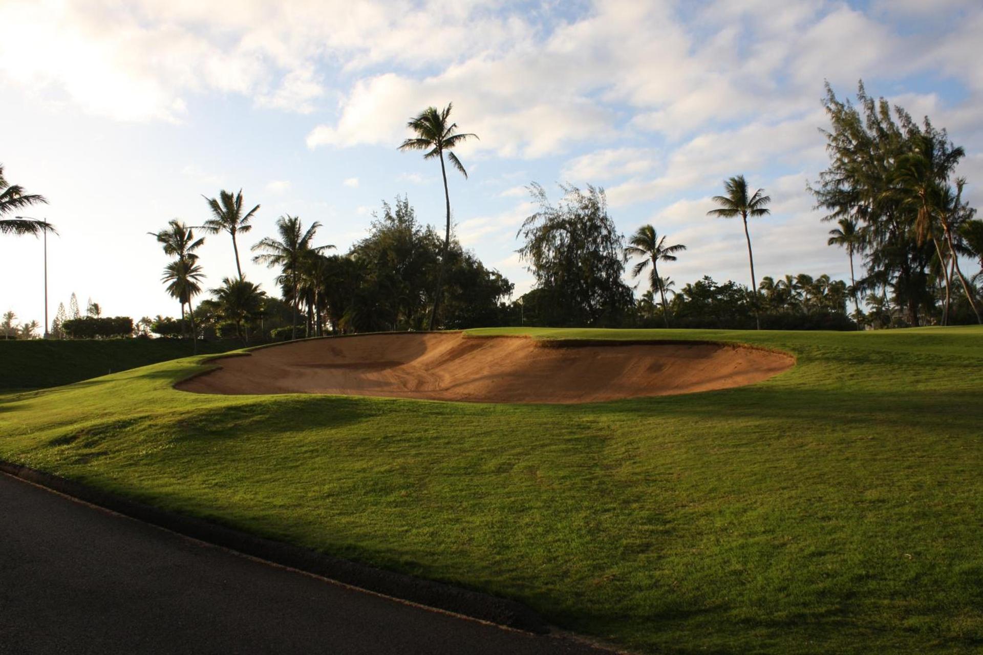 The Turtle Bay Signature photo 8