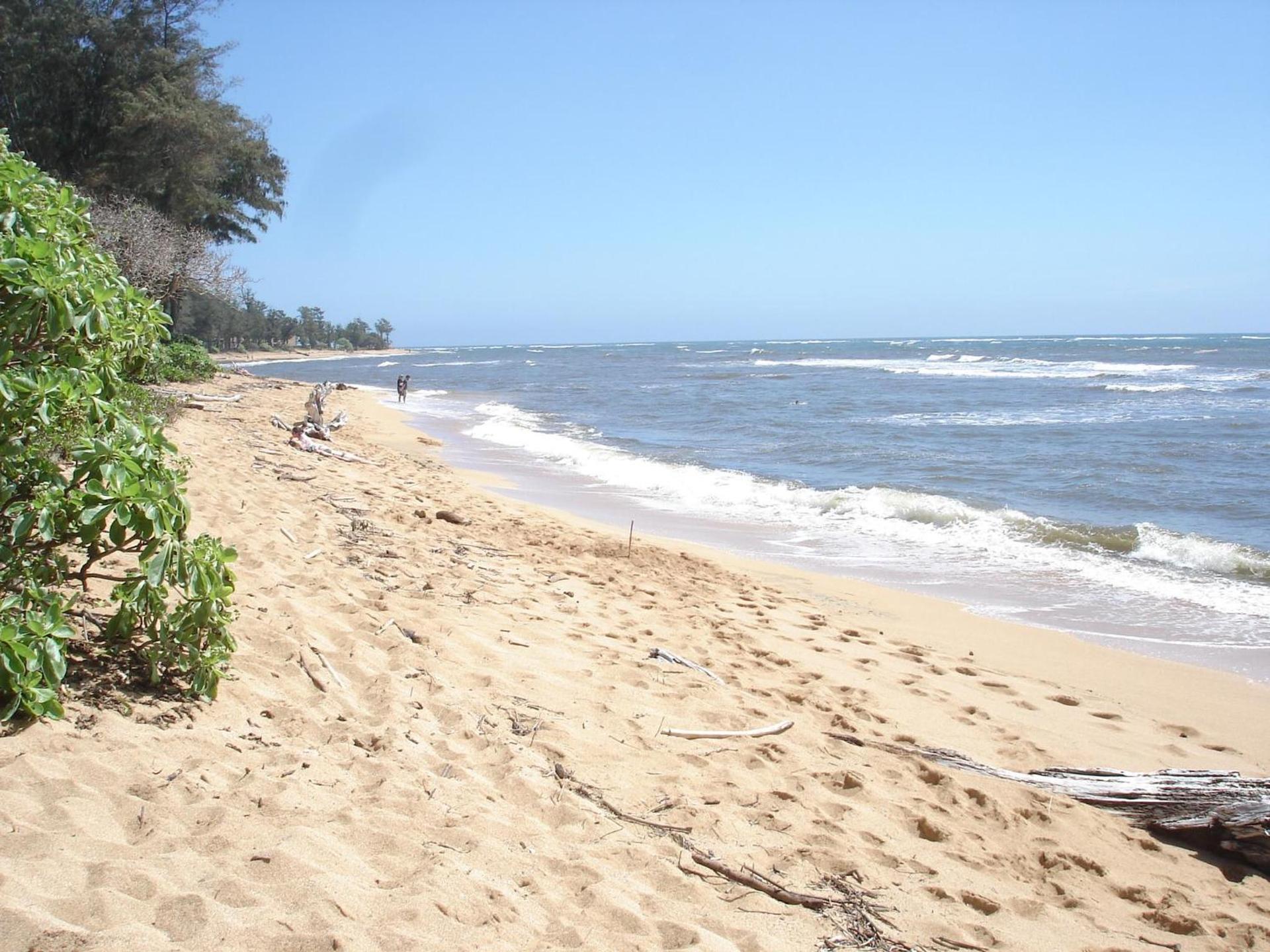 Islander on the Beach Unit 244 photo 10