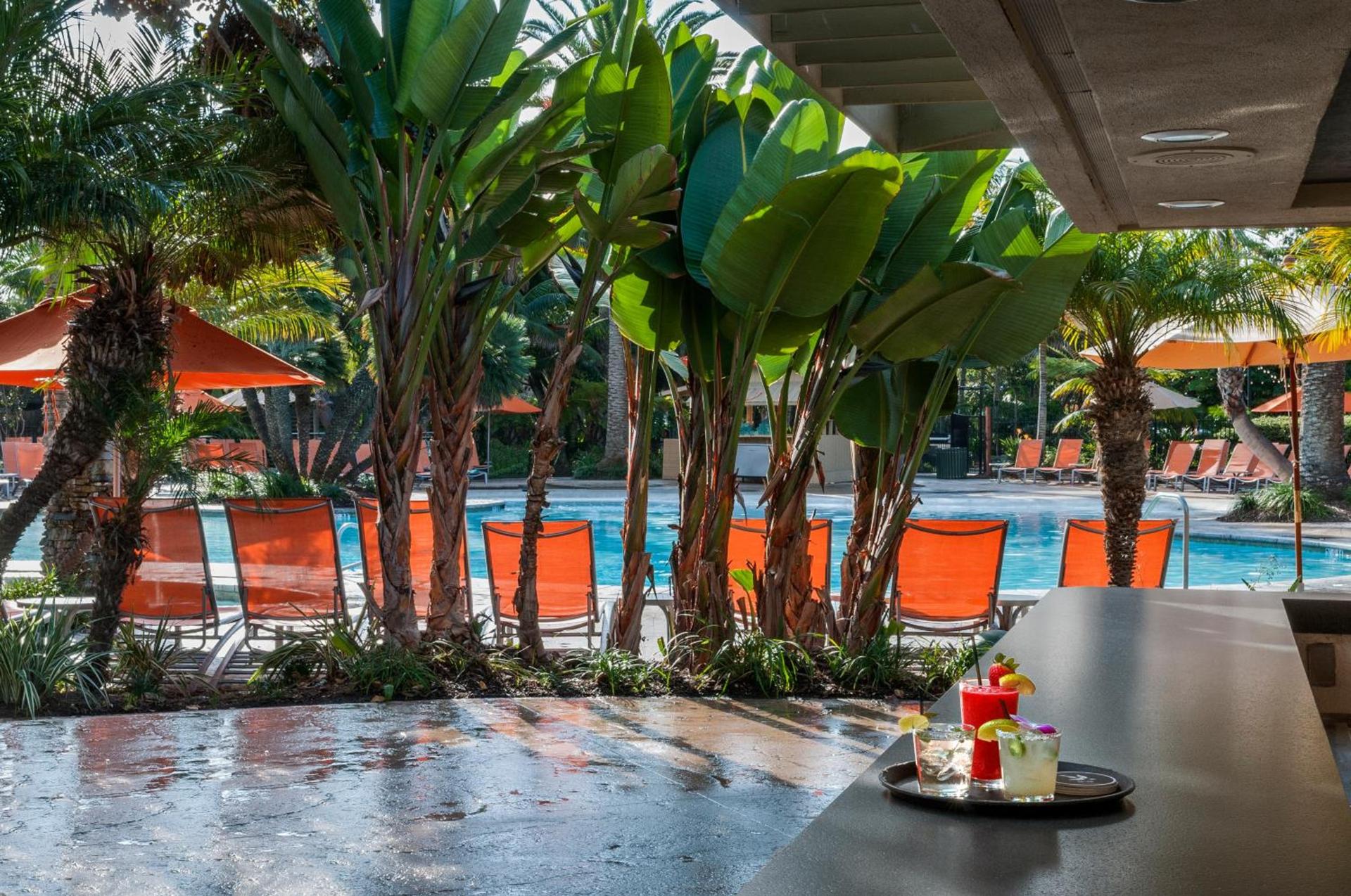 Paradise Point Resort & Spa photo 24