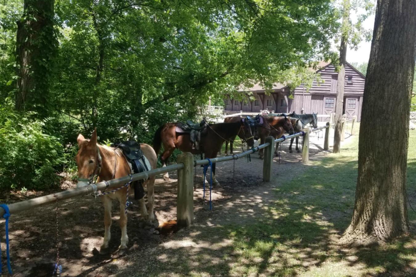Potawatomi Inn & Cabins photo 45