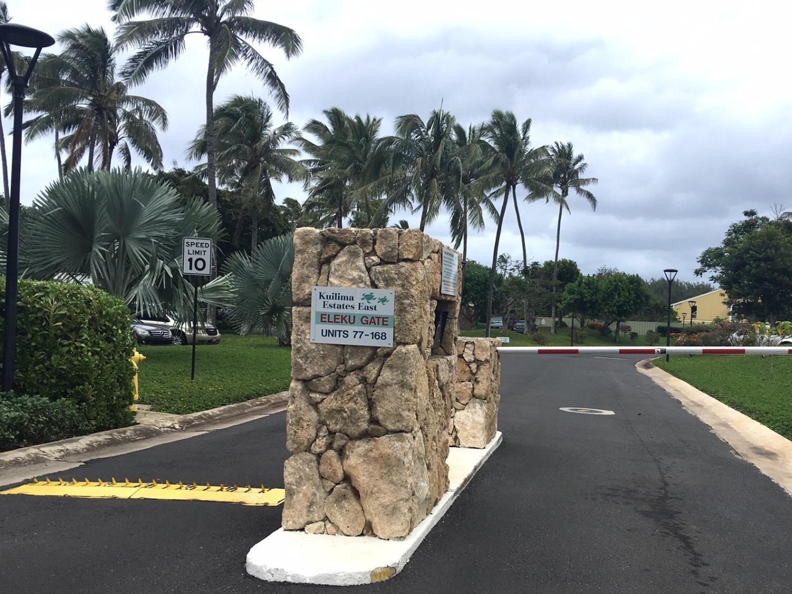 The Turtle Bay Signature photo 5