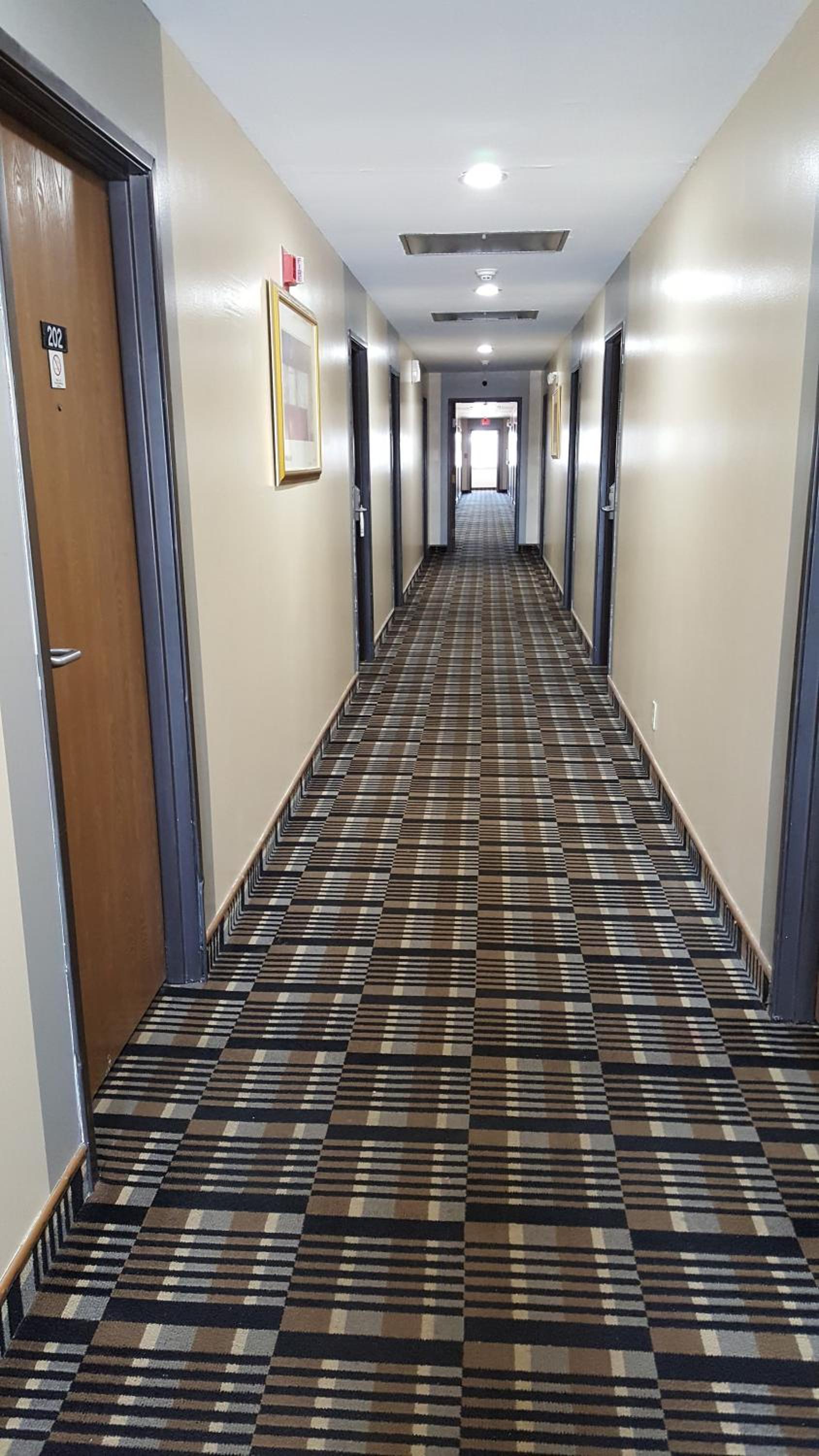 Horizon Inn photo 43