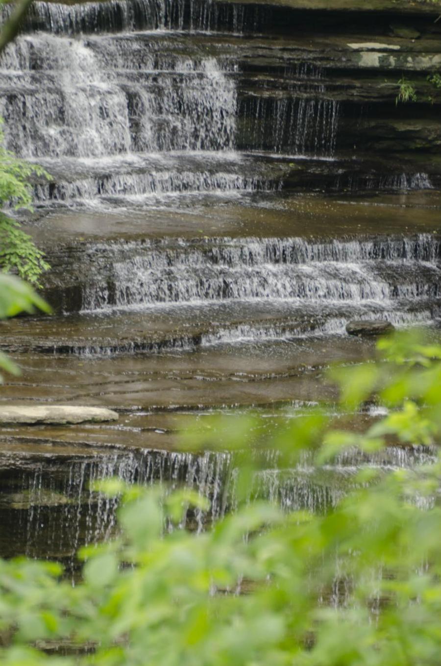 Clifty Inn photo 28