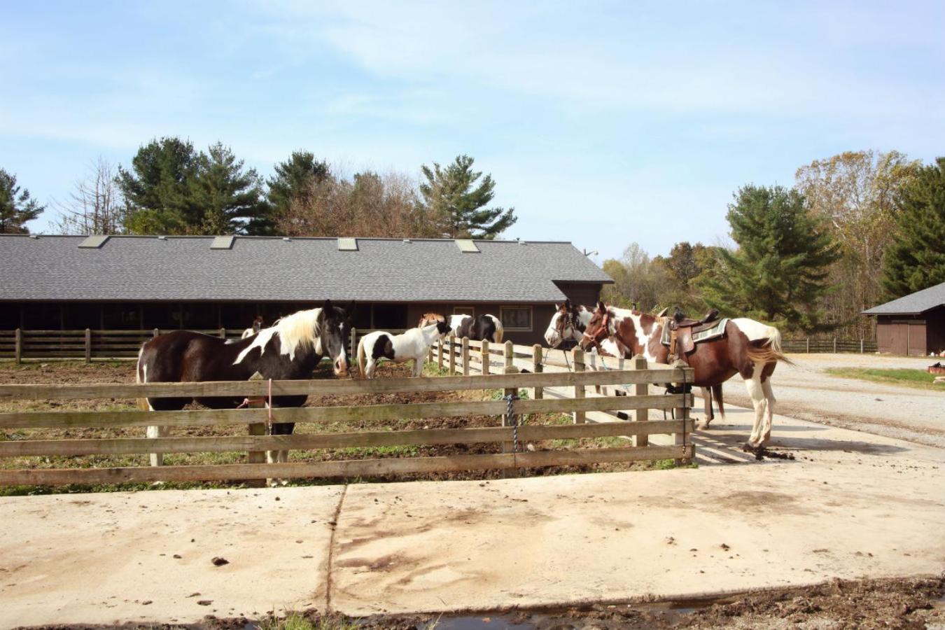 Canyon Inn photo 29