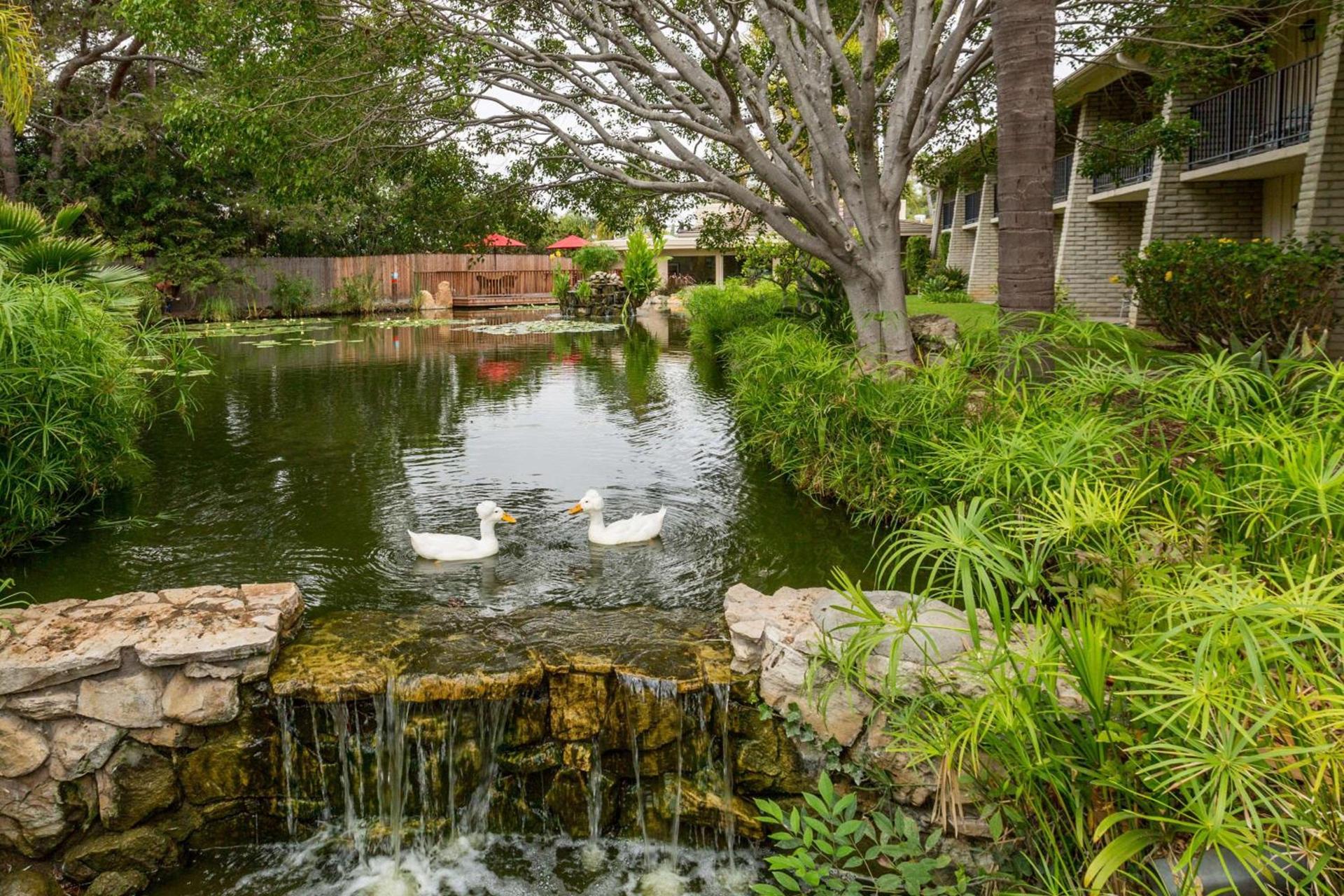 Ramada by Wyndham Santa Barbara photo 5