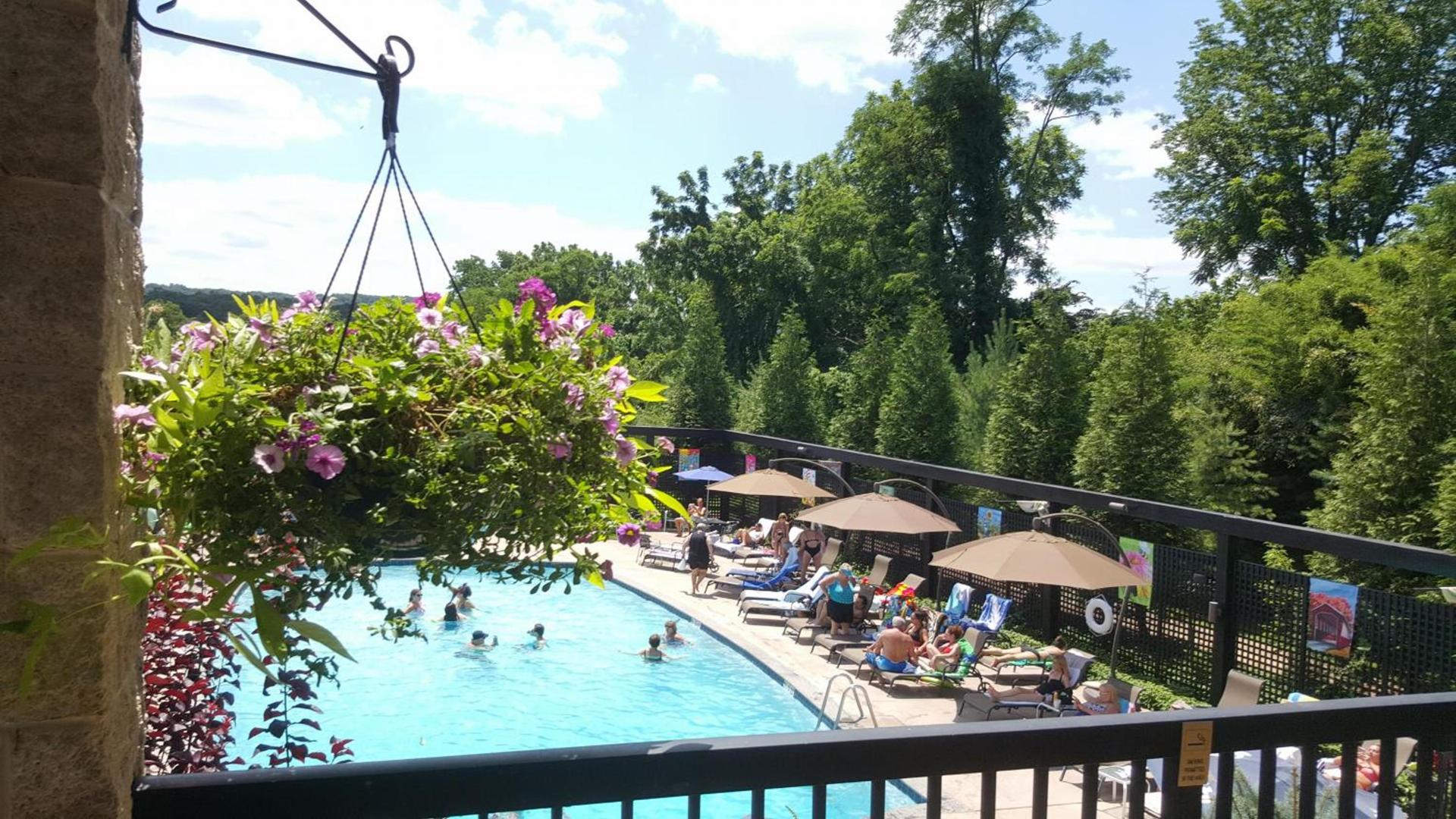 New Hope Inn & Suites photo 34
