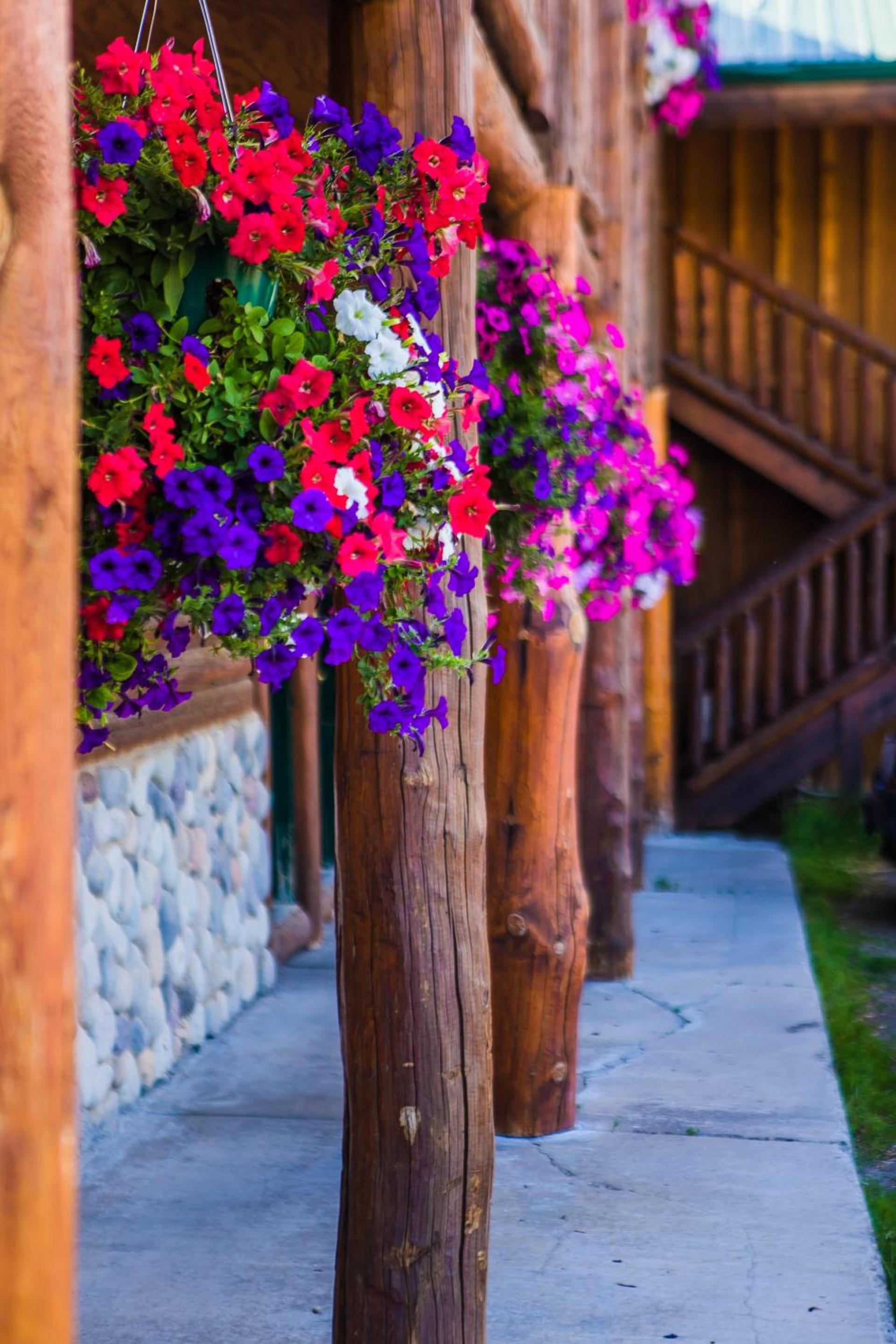 River Lodge photo 6