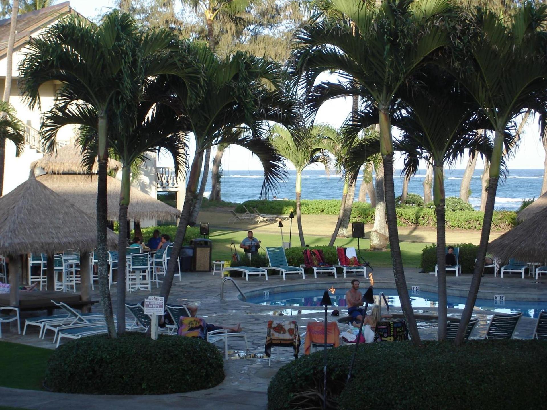 Islander on the Beach Unit 244 photo 6