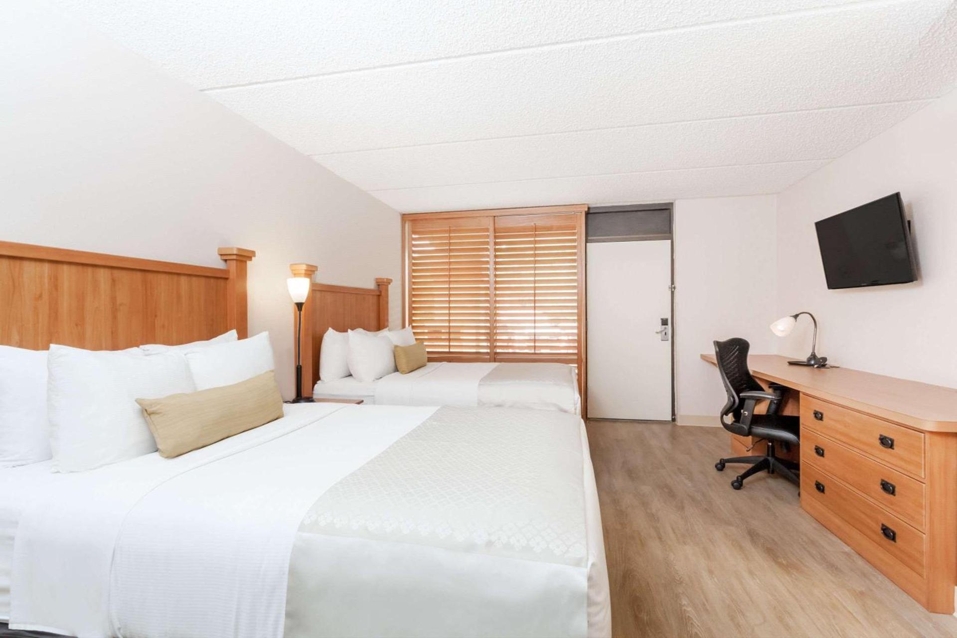 Wyndham Garden Hotel Austin photo 6