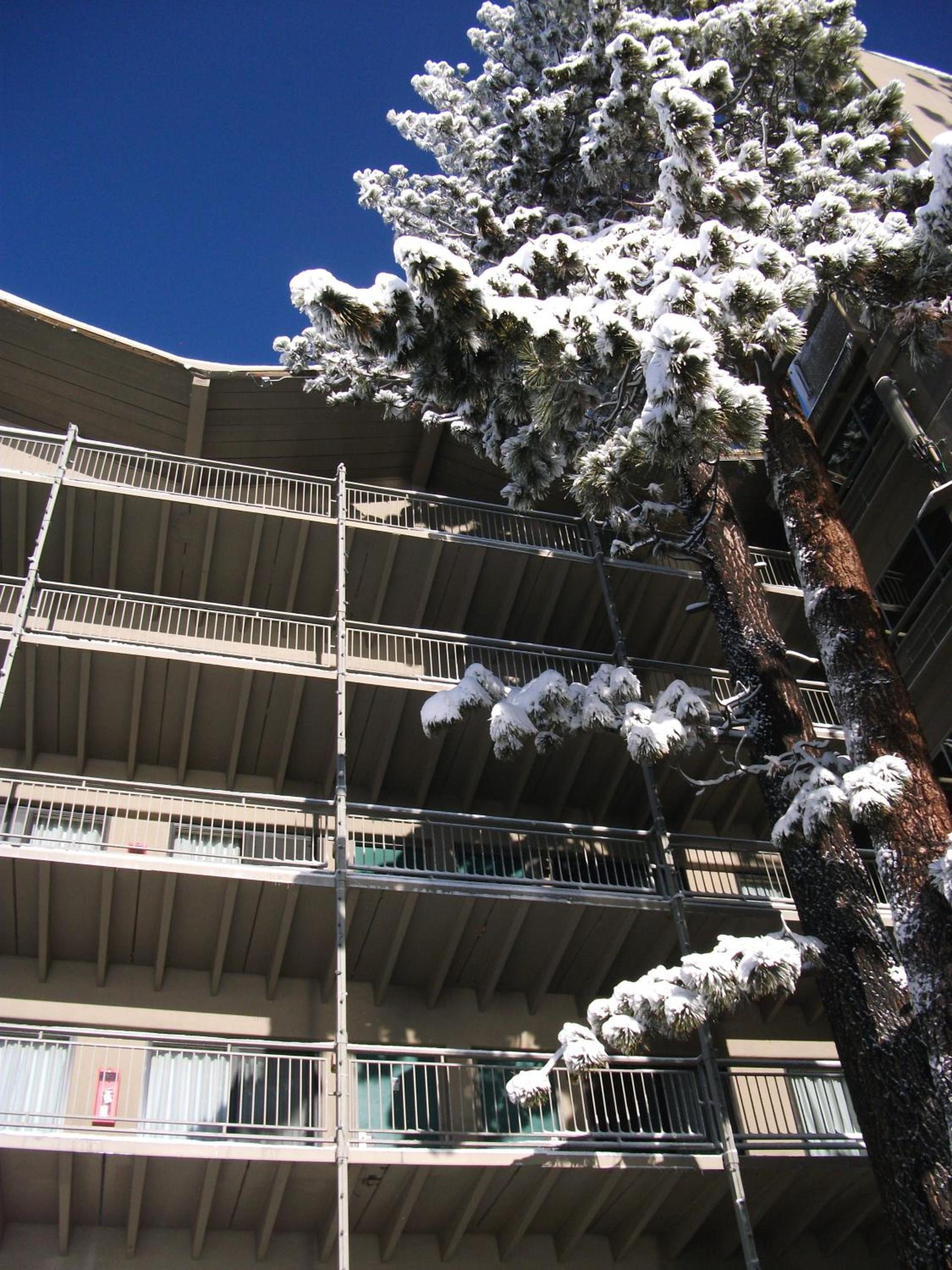 Pepper Tree Inn Tahoe City photo 6