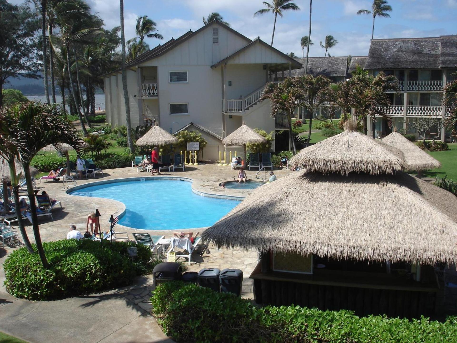 Islander on the Beach Unit 244 photo 4