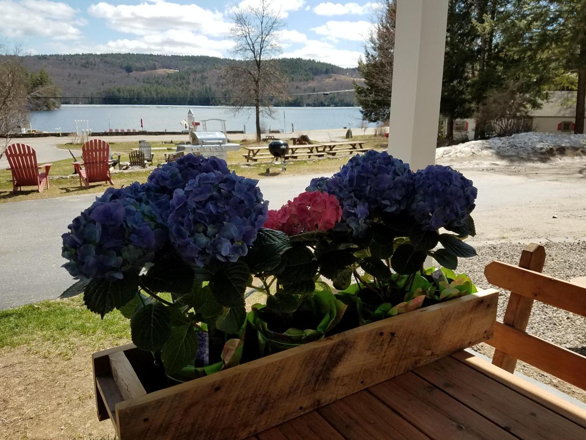 Cottage Place on Squam Lake - Suites photo 4