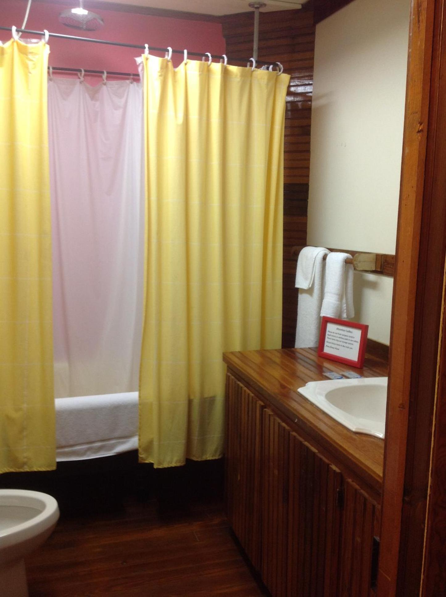 The Main Street Hotel photo 46