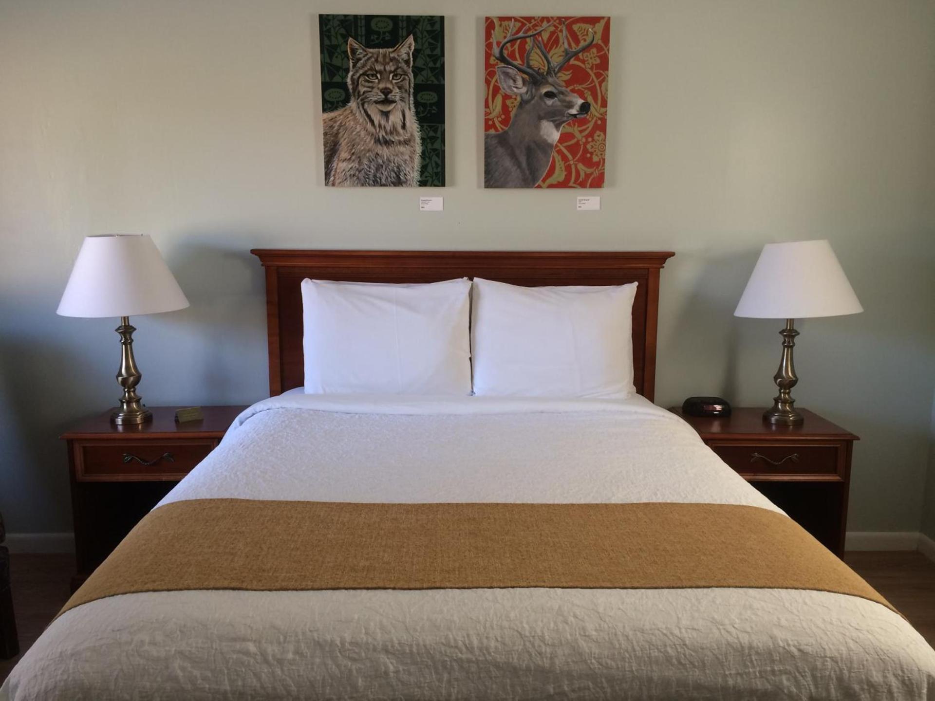 Harwood Hill Motel photo 27