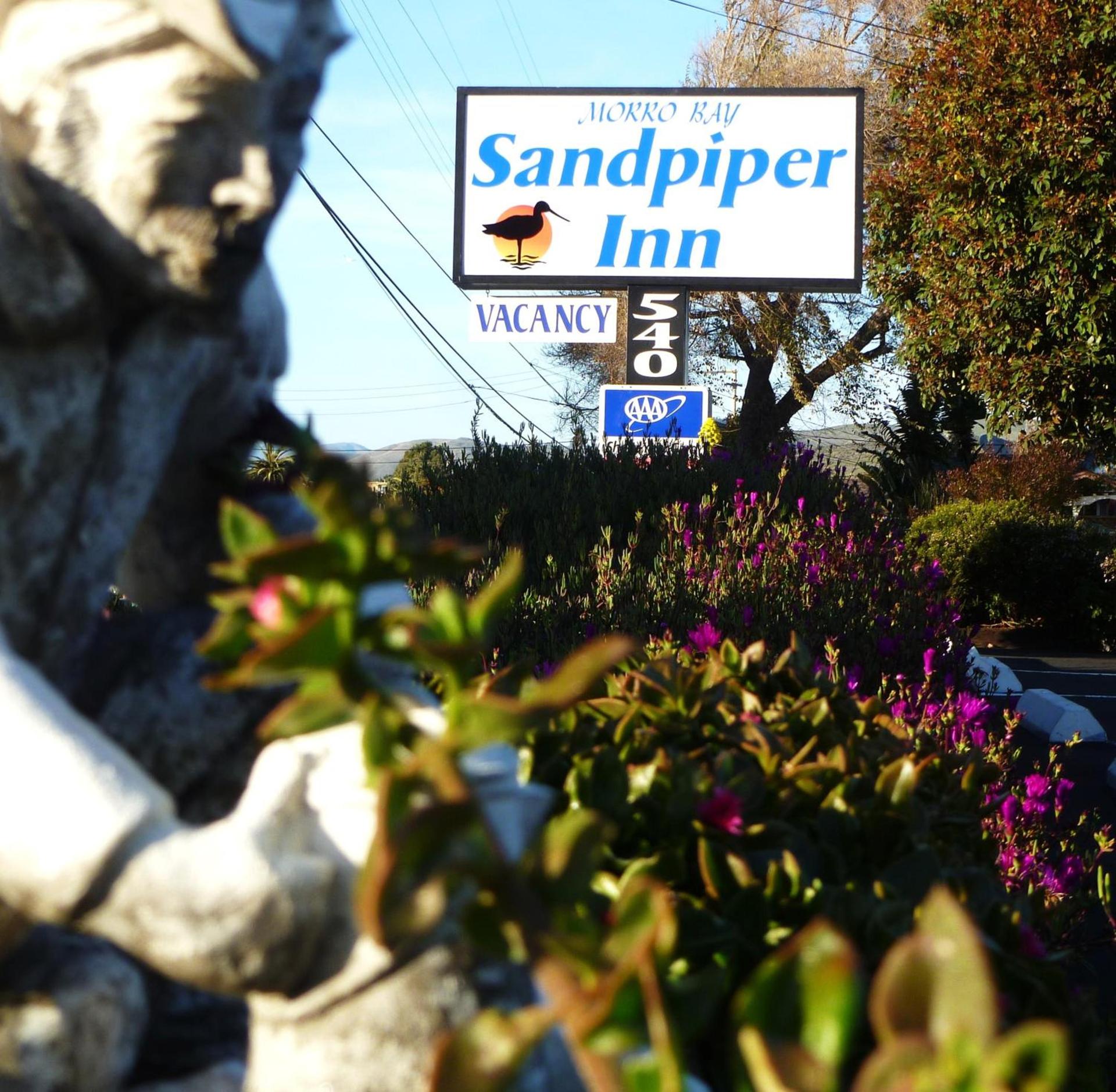 Morro Bay Sandpiper Inn photo 2