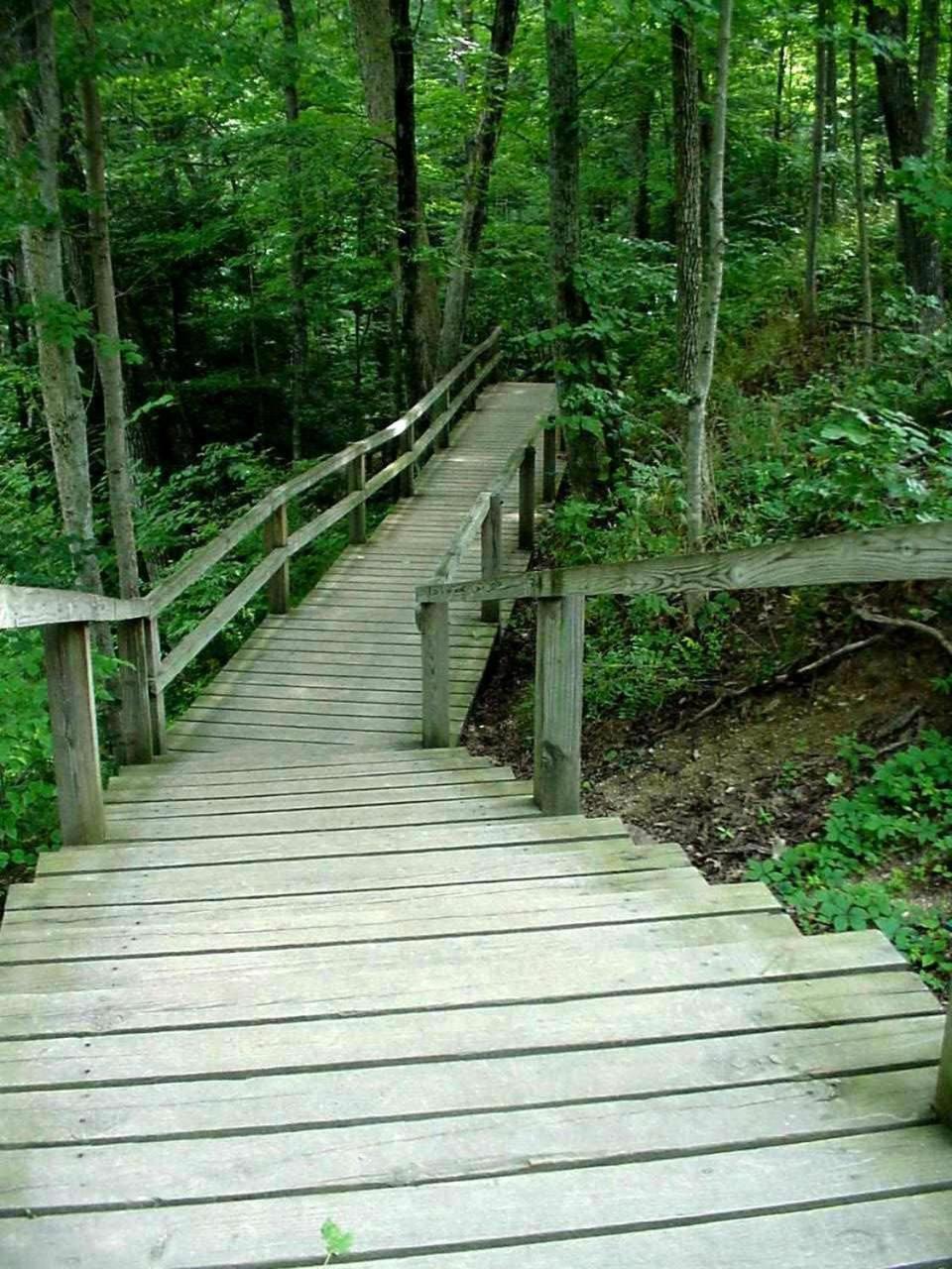 Turkey Run Inn & Cabins photo 28