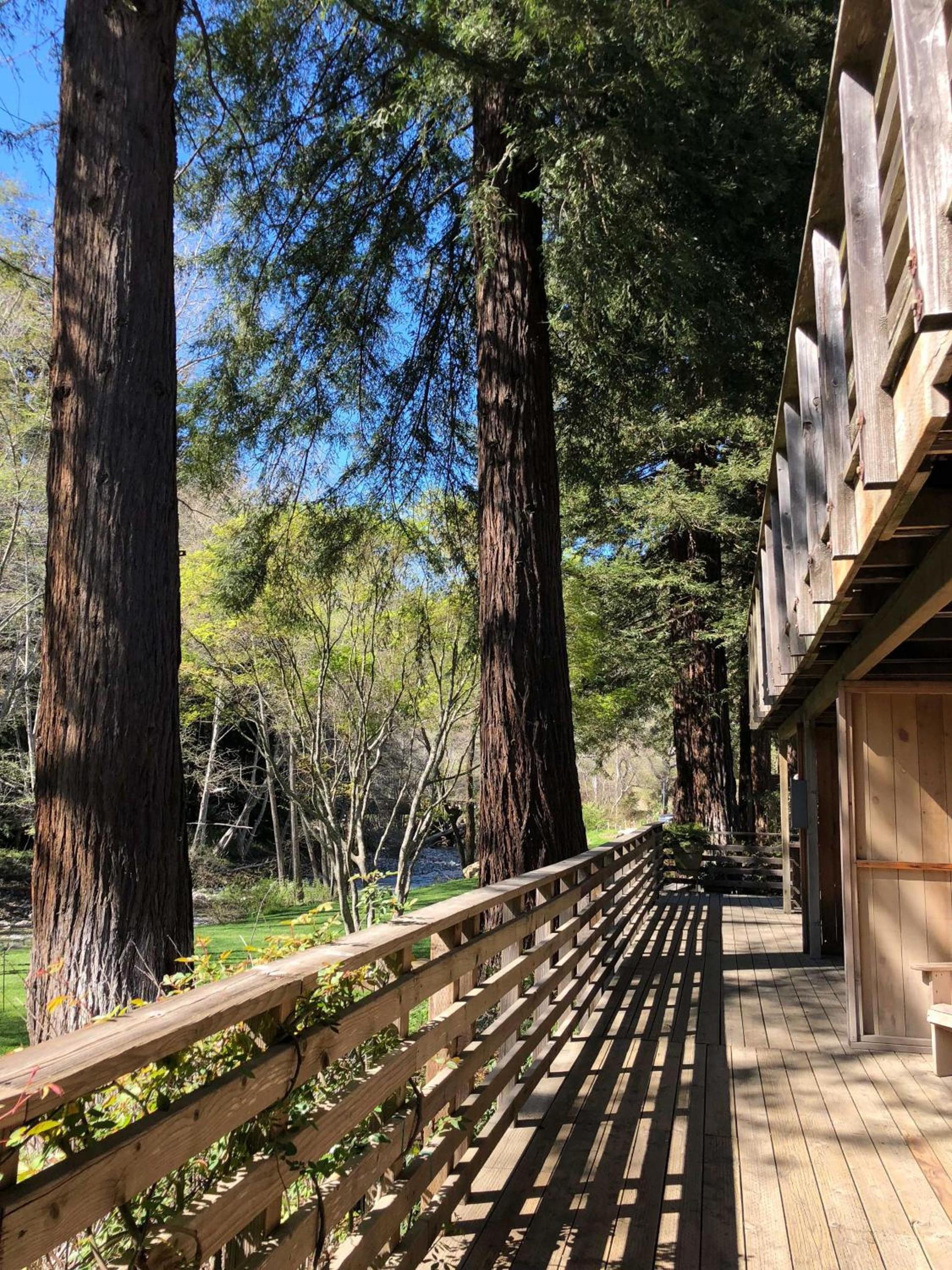 Big Sur River Inn photo 10