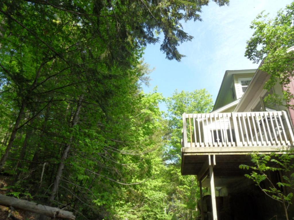 Pinebrook Motel photo 9