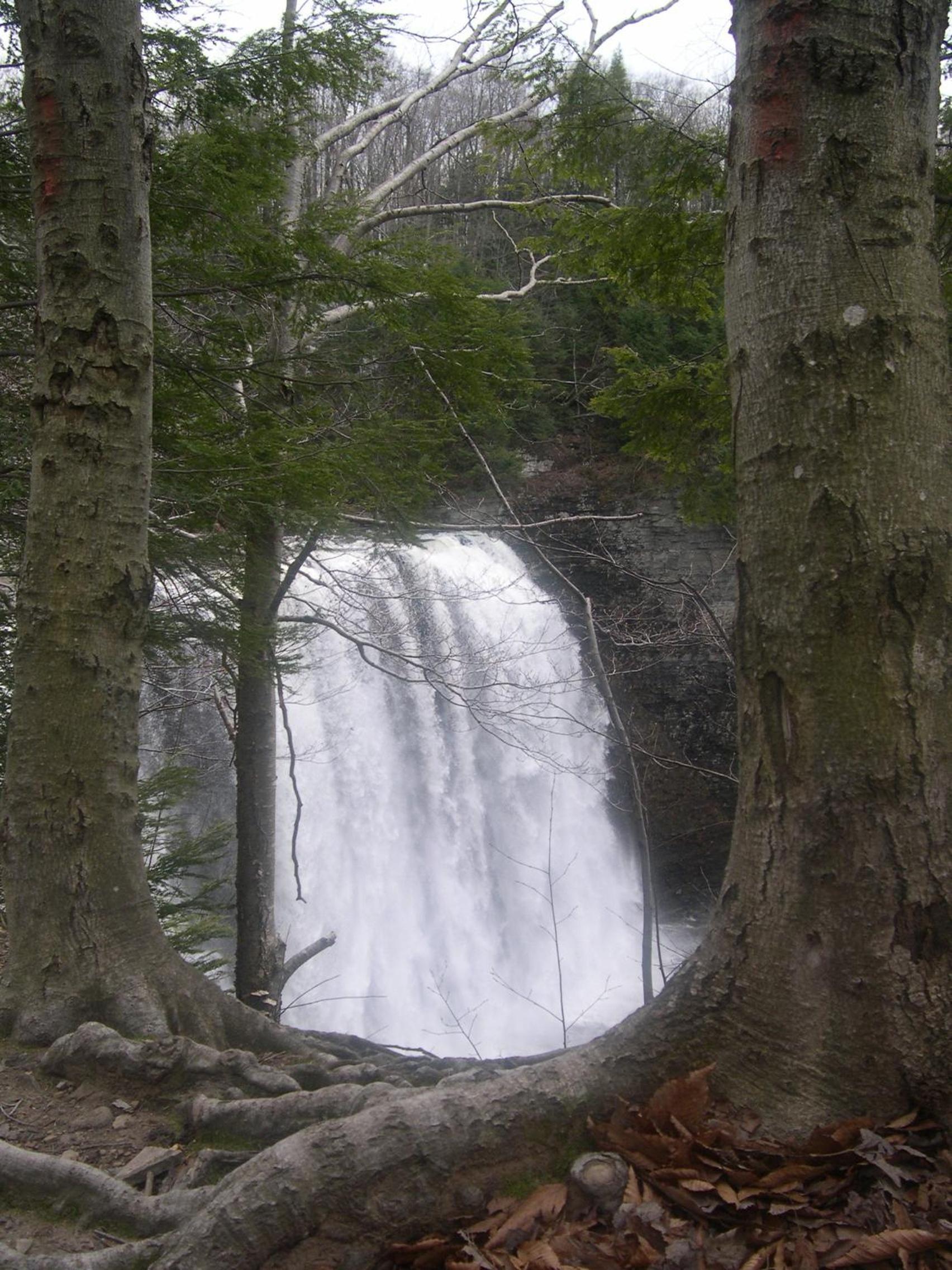 Tug Hill Resort photo 42
