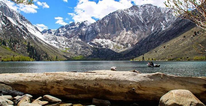 June Lake Motel photo 29