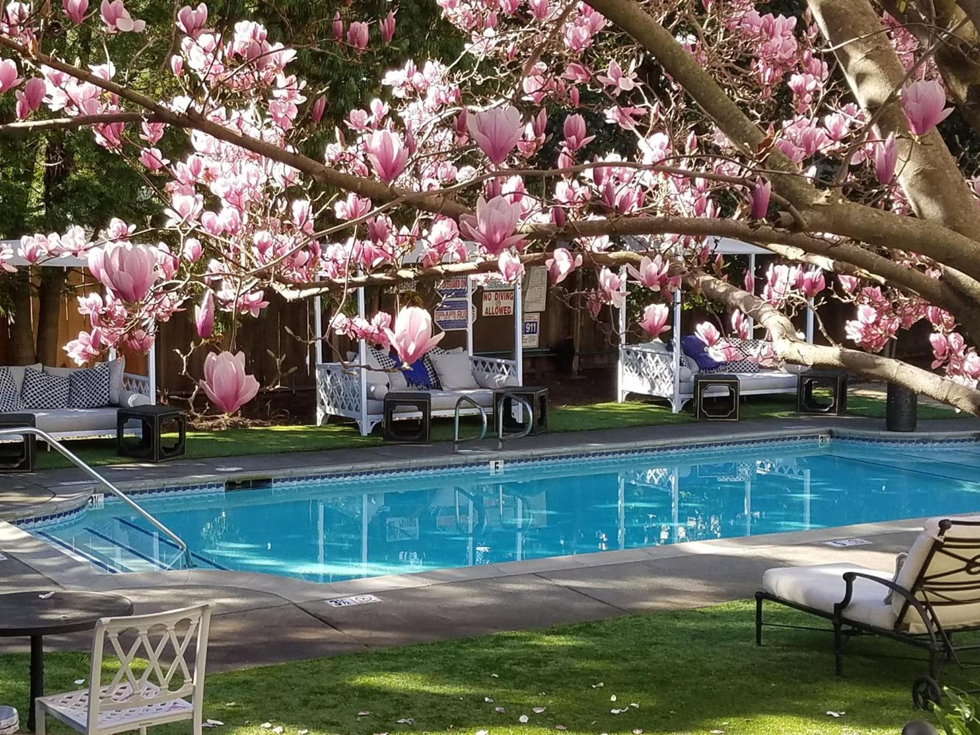 White House Napa photo 25