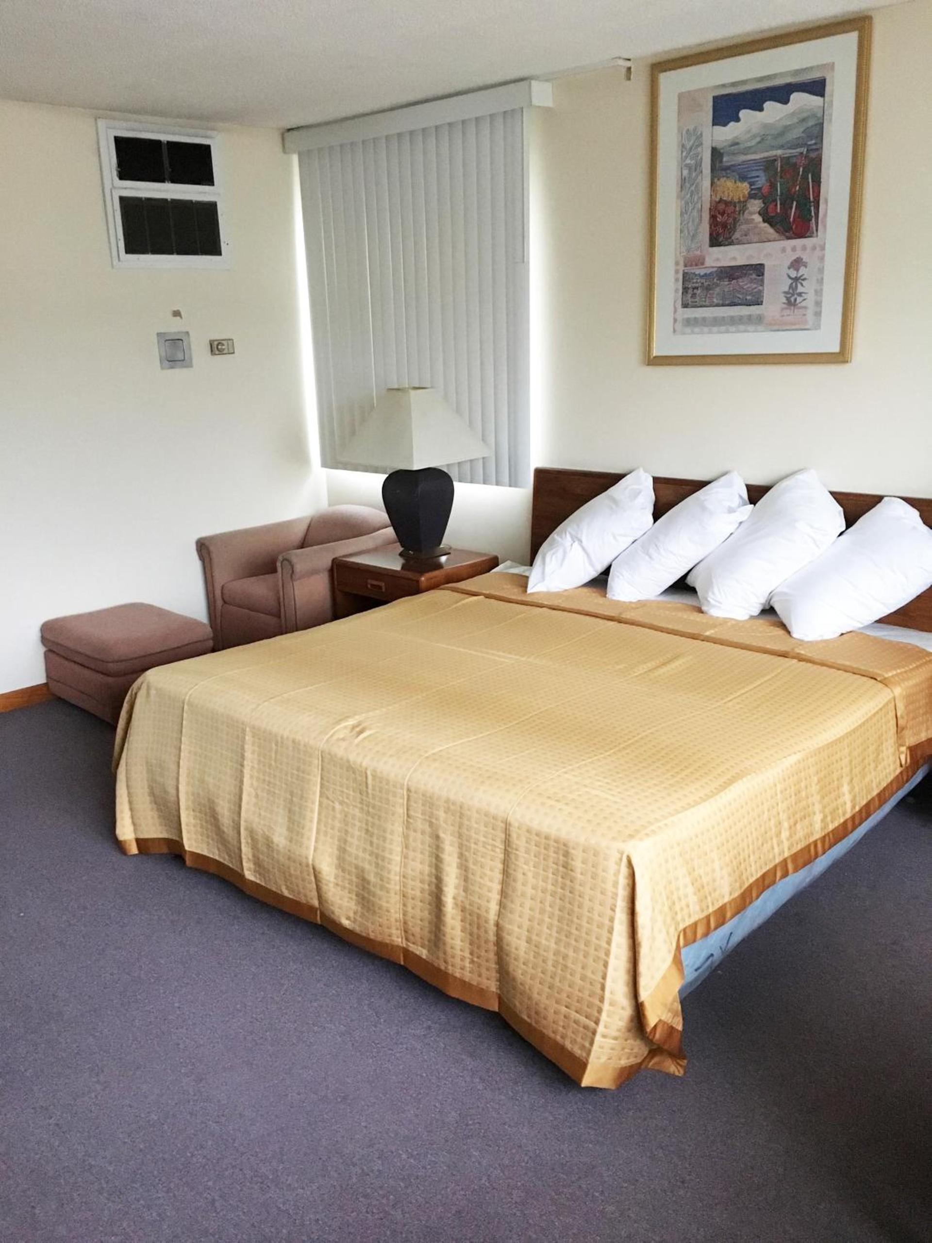 Village Motel photo 8