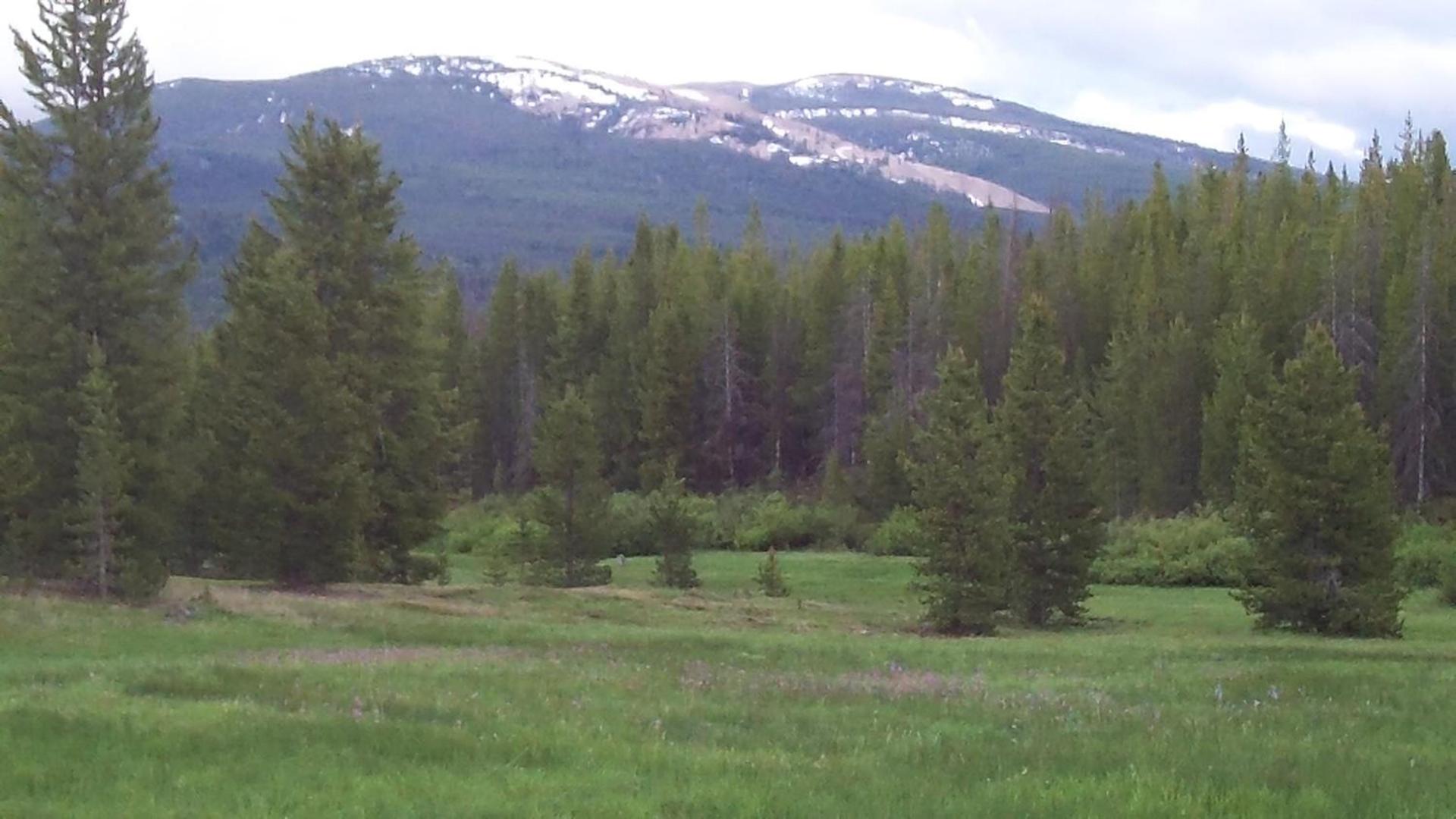 Sugar Loaf Lodge & Cabins photo 42