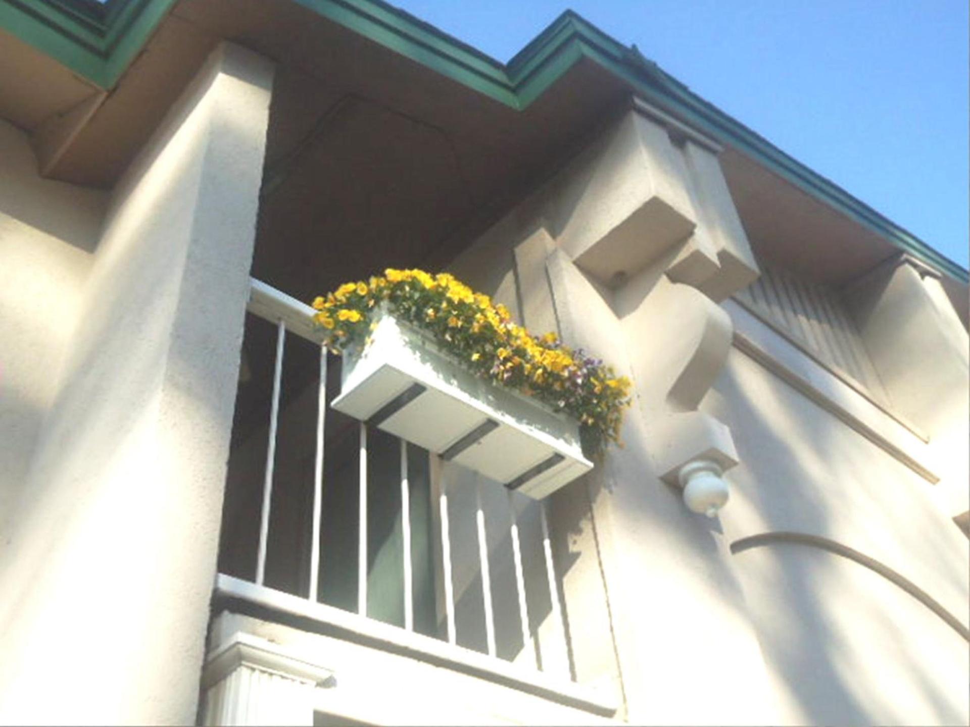 West Bank Inn photo 11