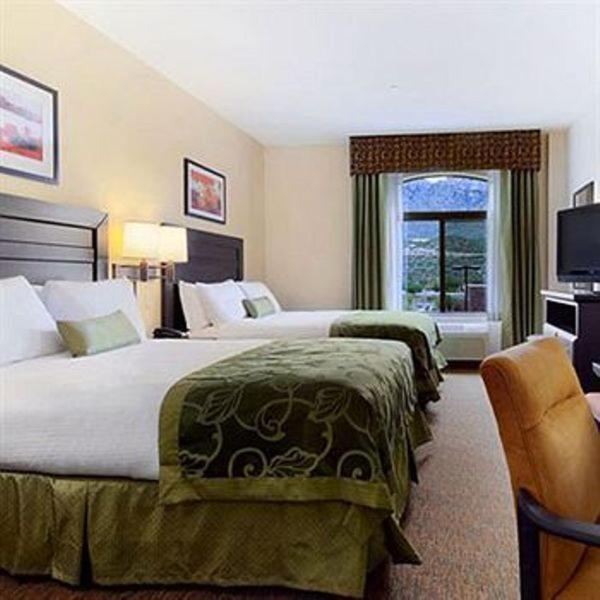 Holiday Inn Express & Suites Oro Valley-Tucson North by IHG photo 2