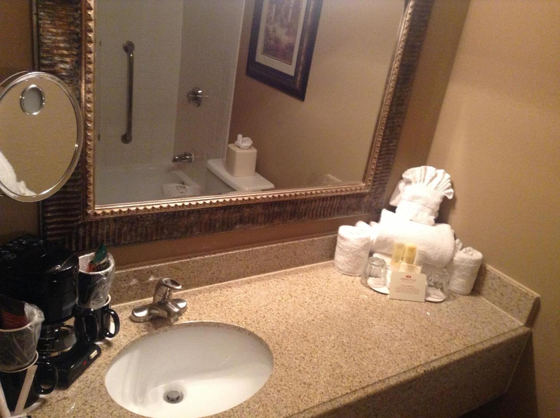 Wyndham Houston near NRG Park - Medical Center photo 31