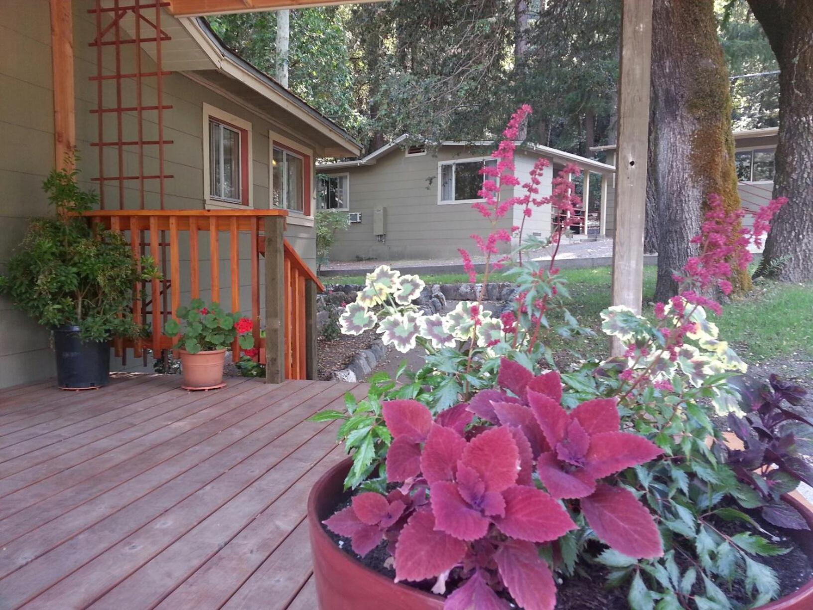 China Creek Cottages photo 86