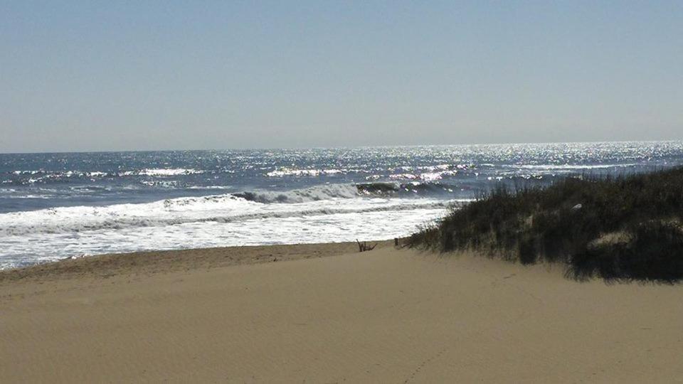 Outer Banks Motor Lodge photo 47