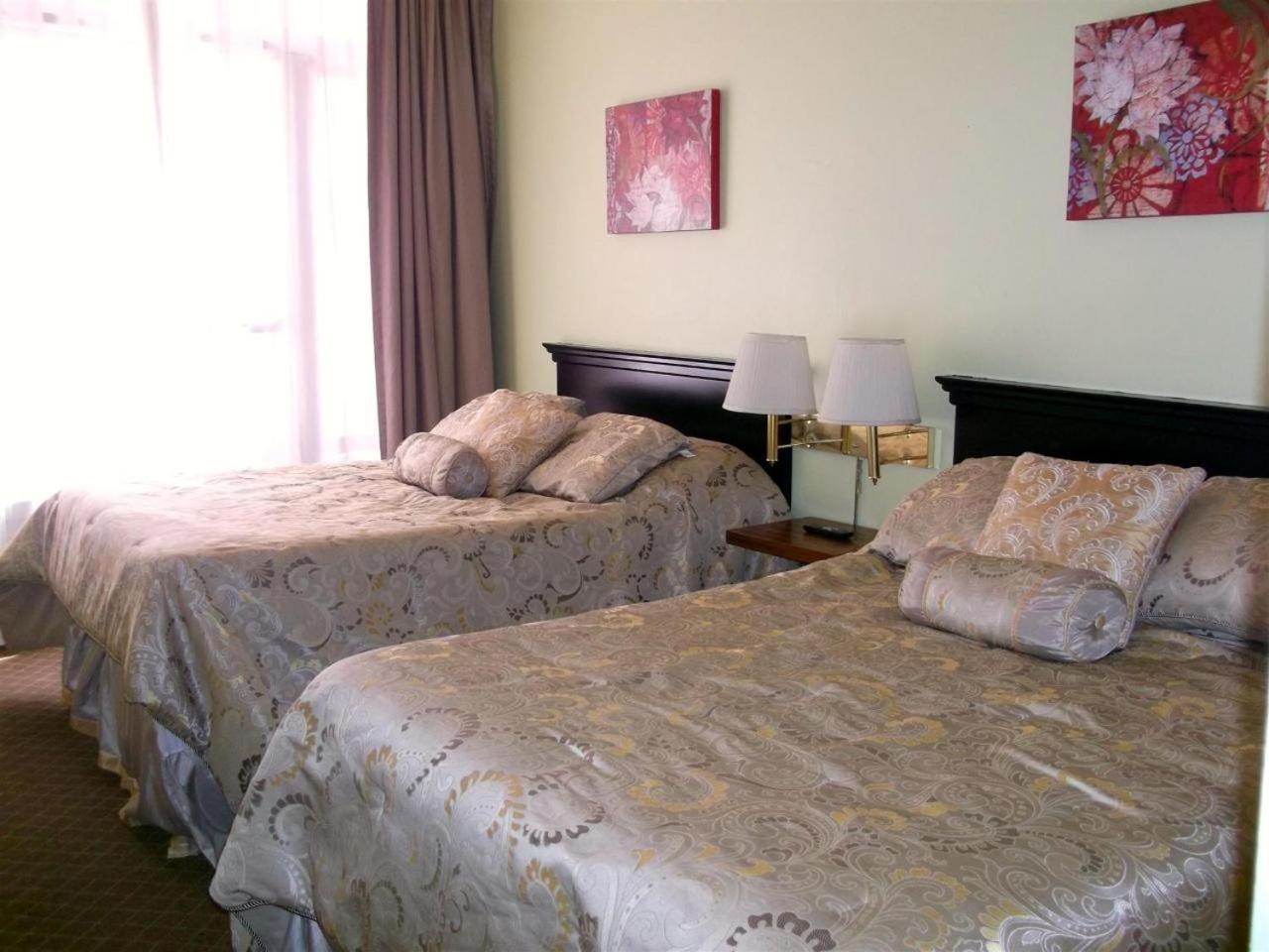 Adelaide Hostel photo 30