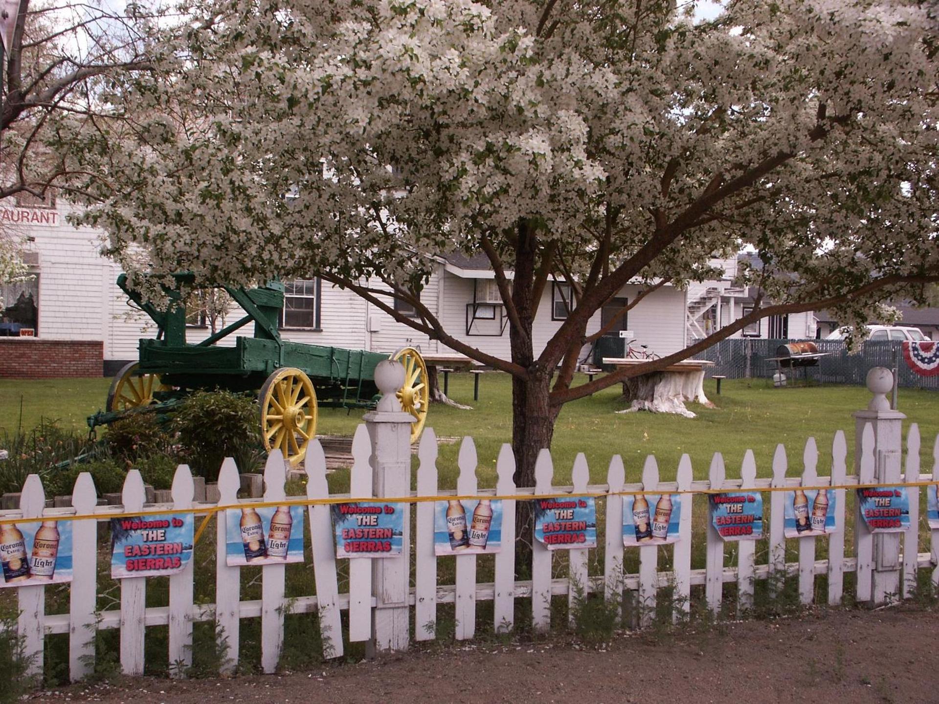 Bridgeport Inn photo 41