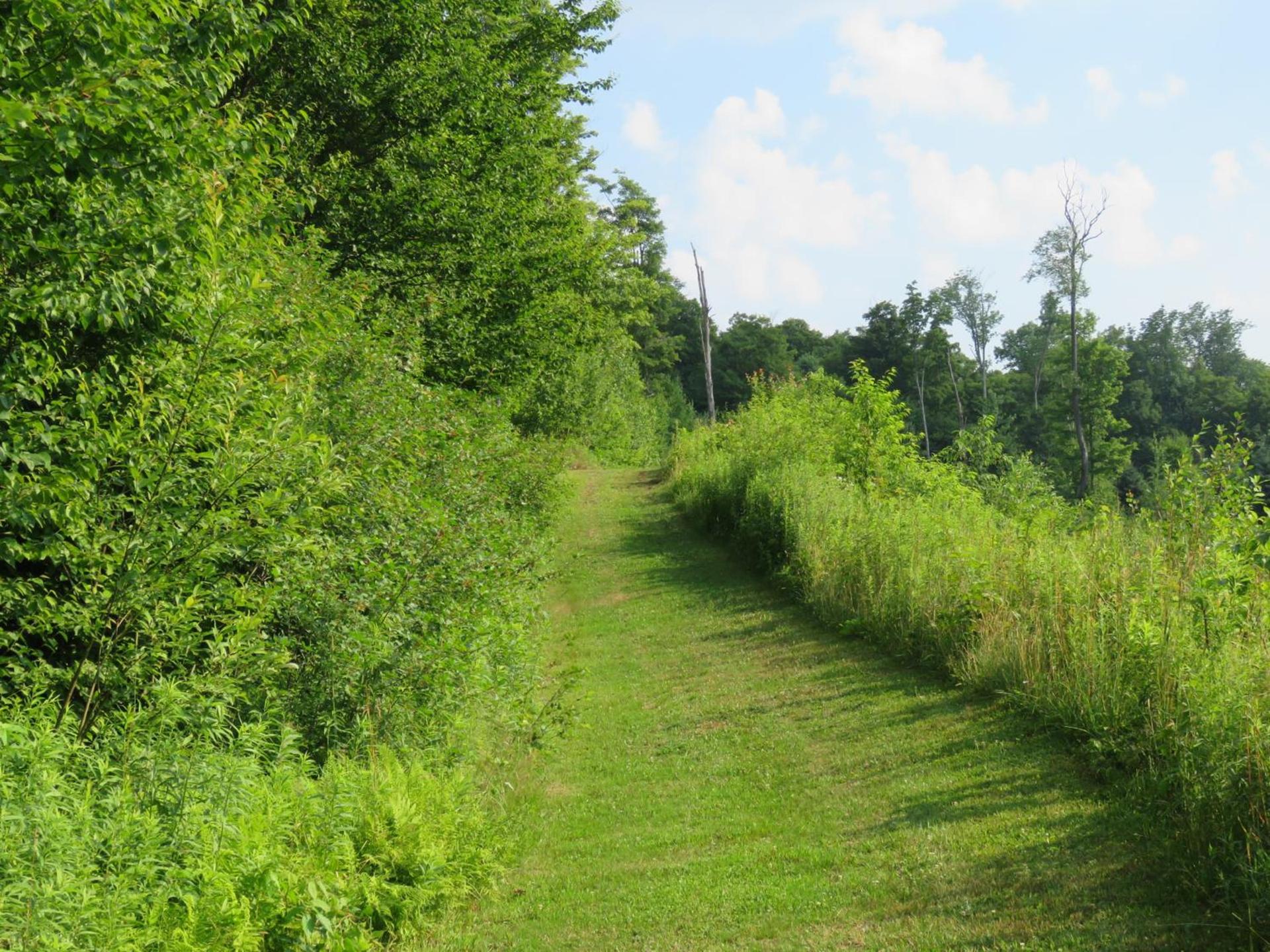Tug Hill Resort photo 32