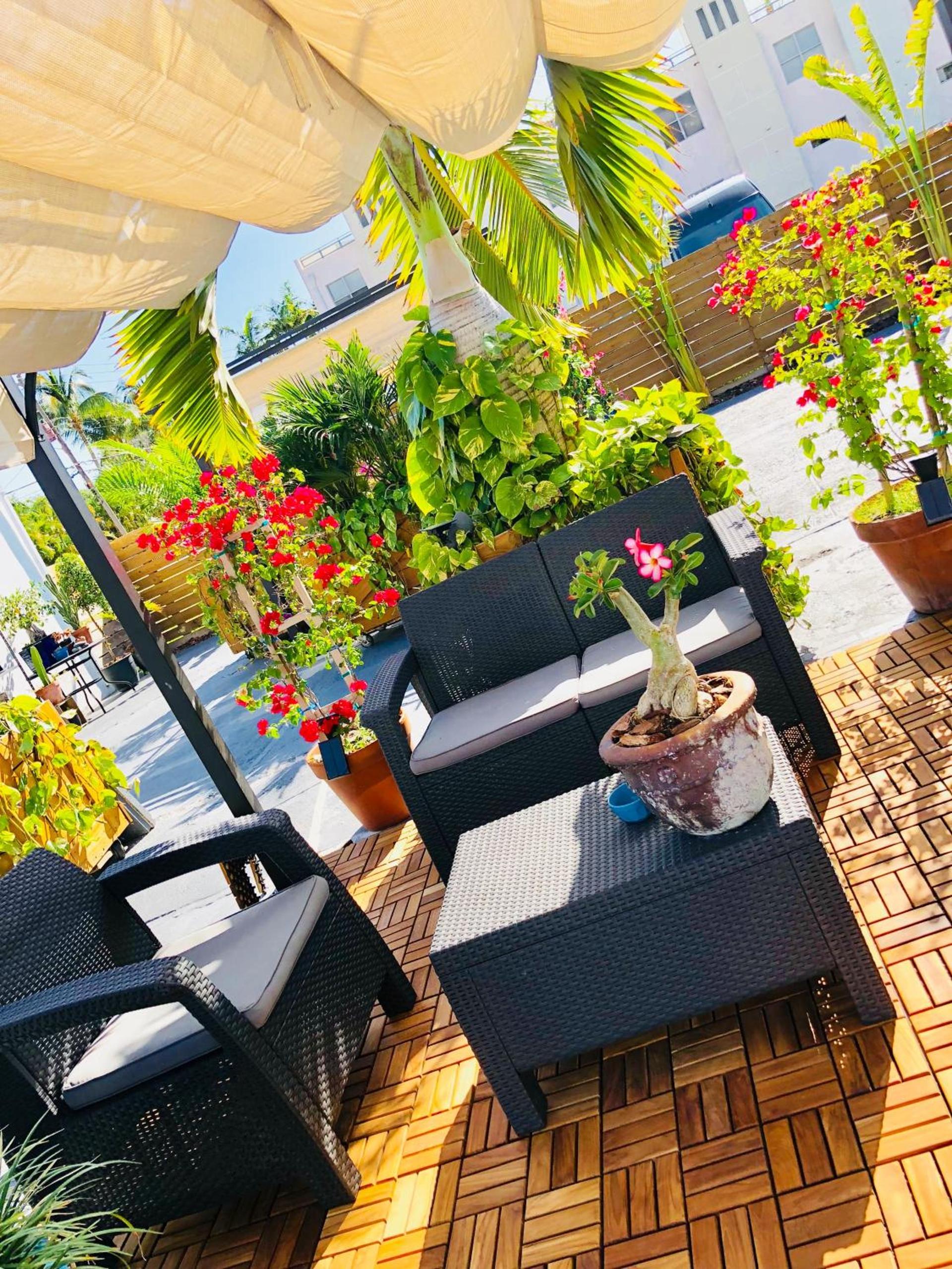 Oasis Hotel photo 16