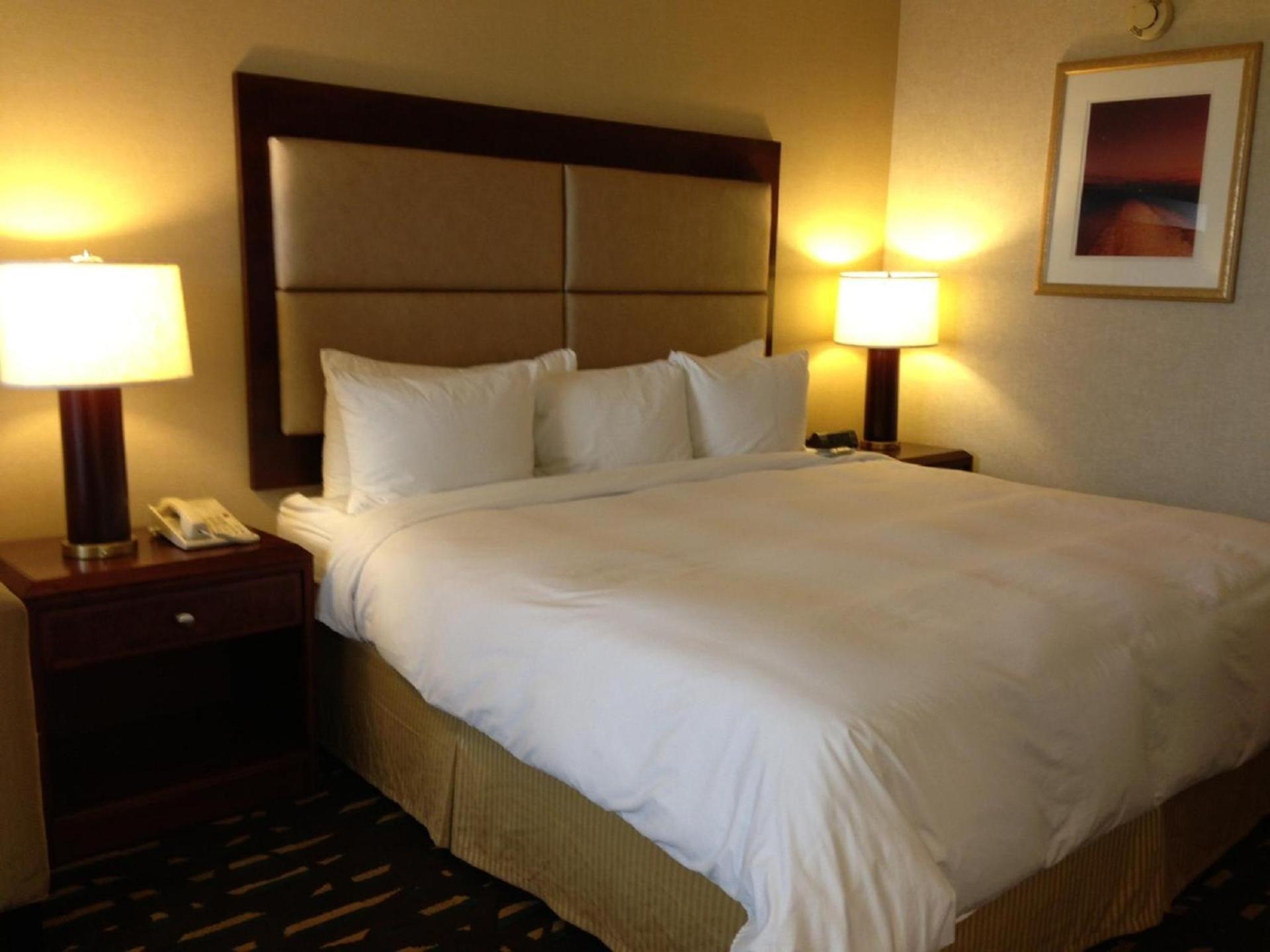 Wyndham Chicago O'Hare photo 41