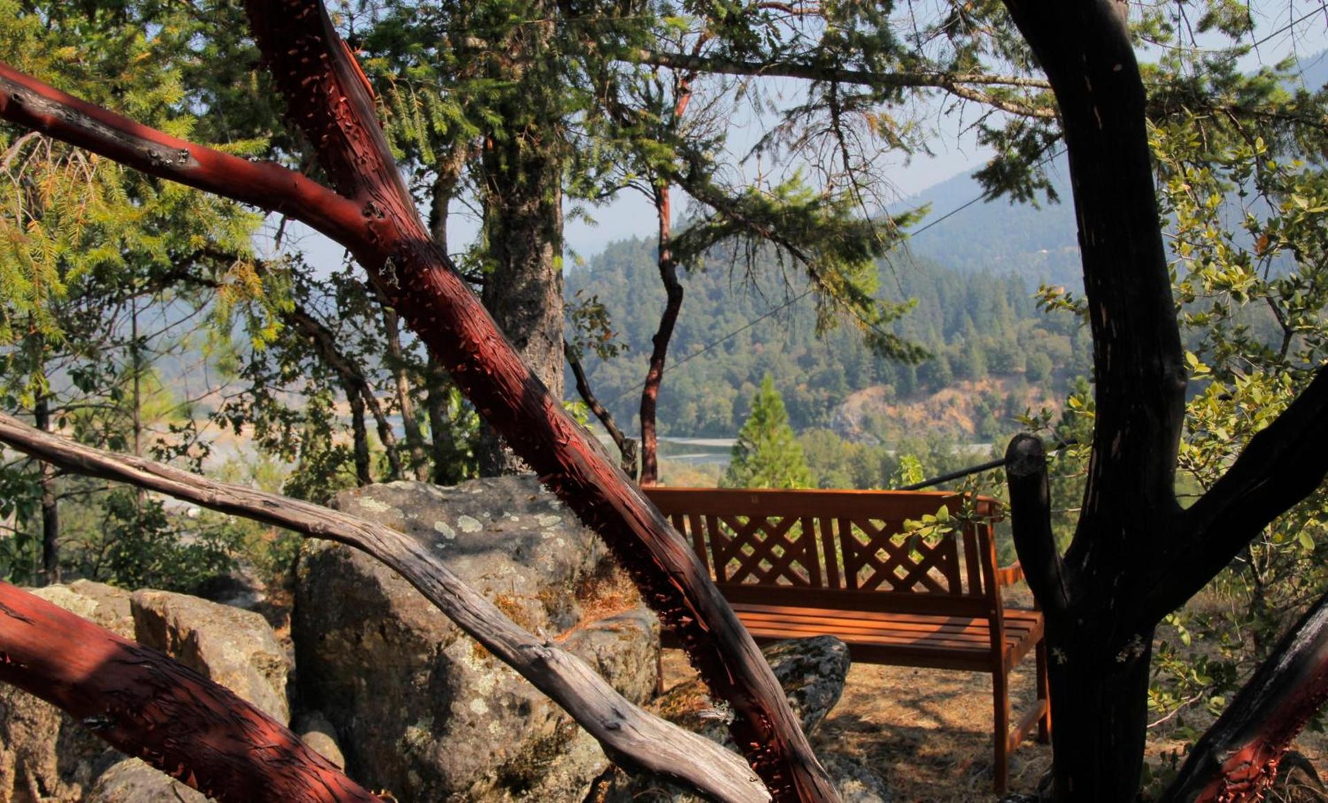 Coho Cottages photo 3