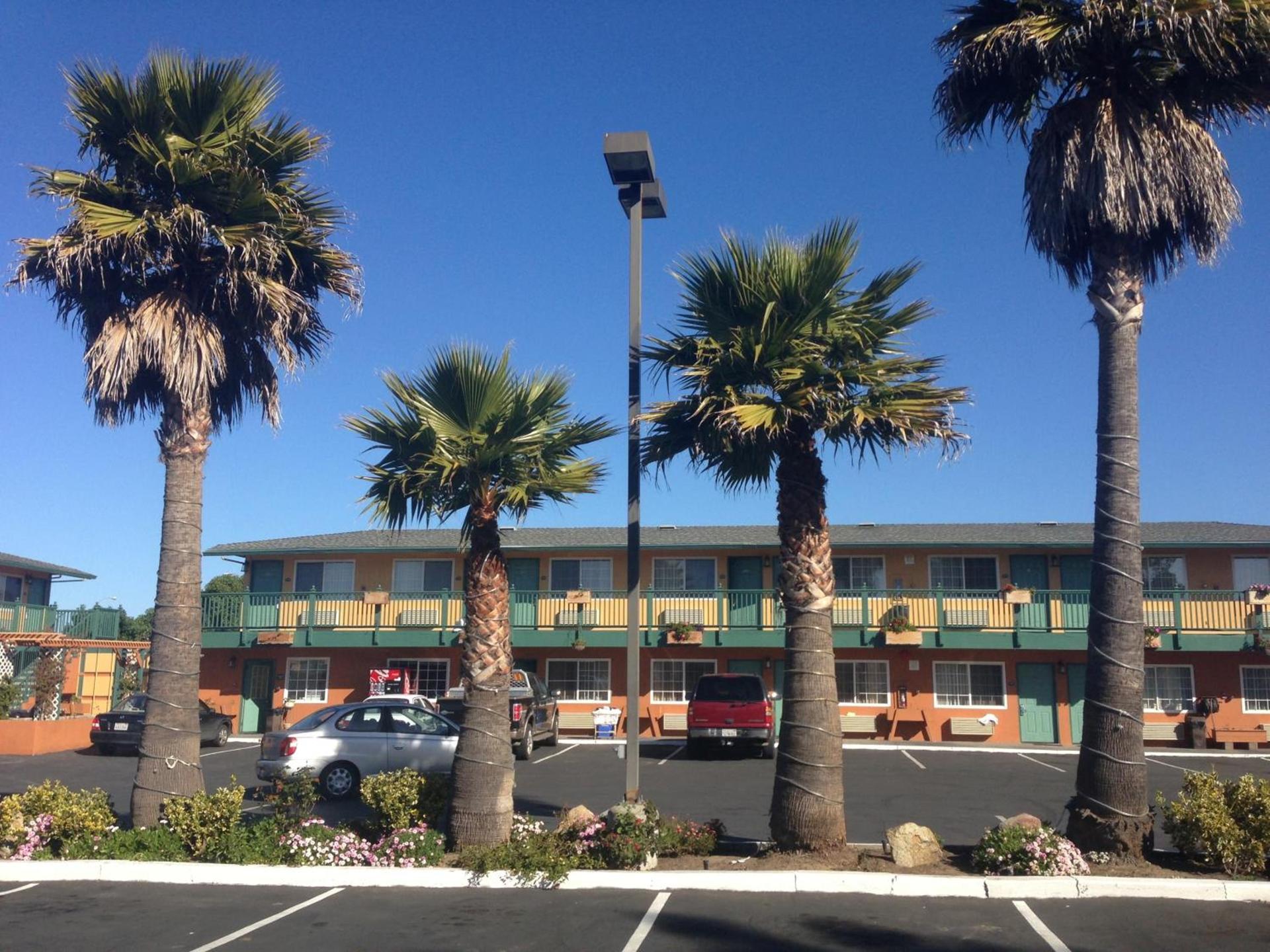 Sand Castle Inn photo 12