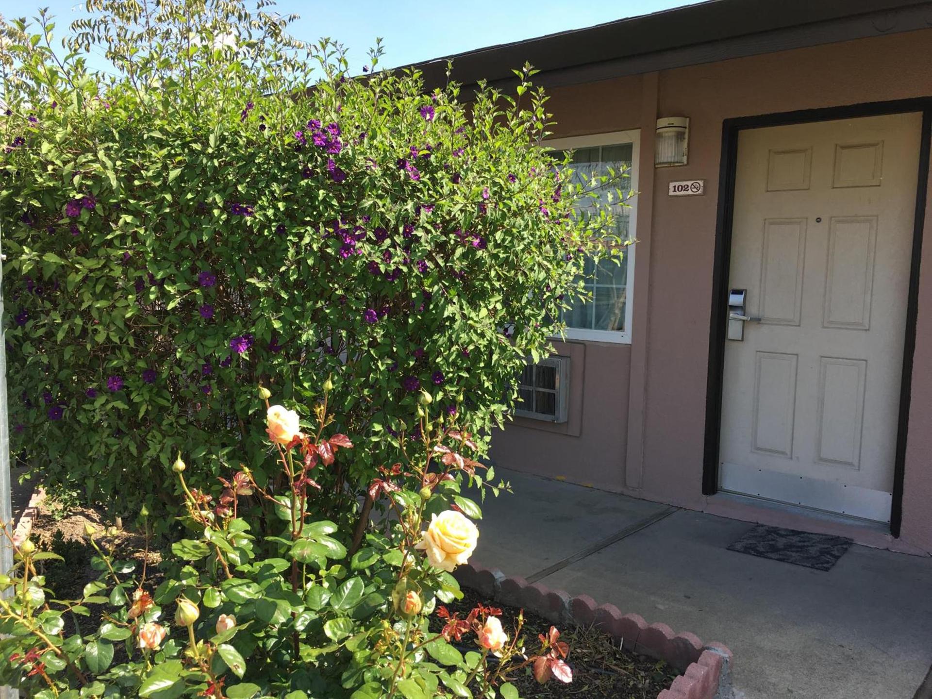 Maple Inn and Suites Los Banos photo 2