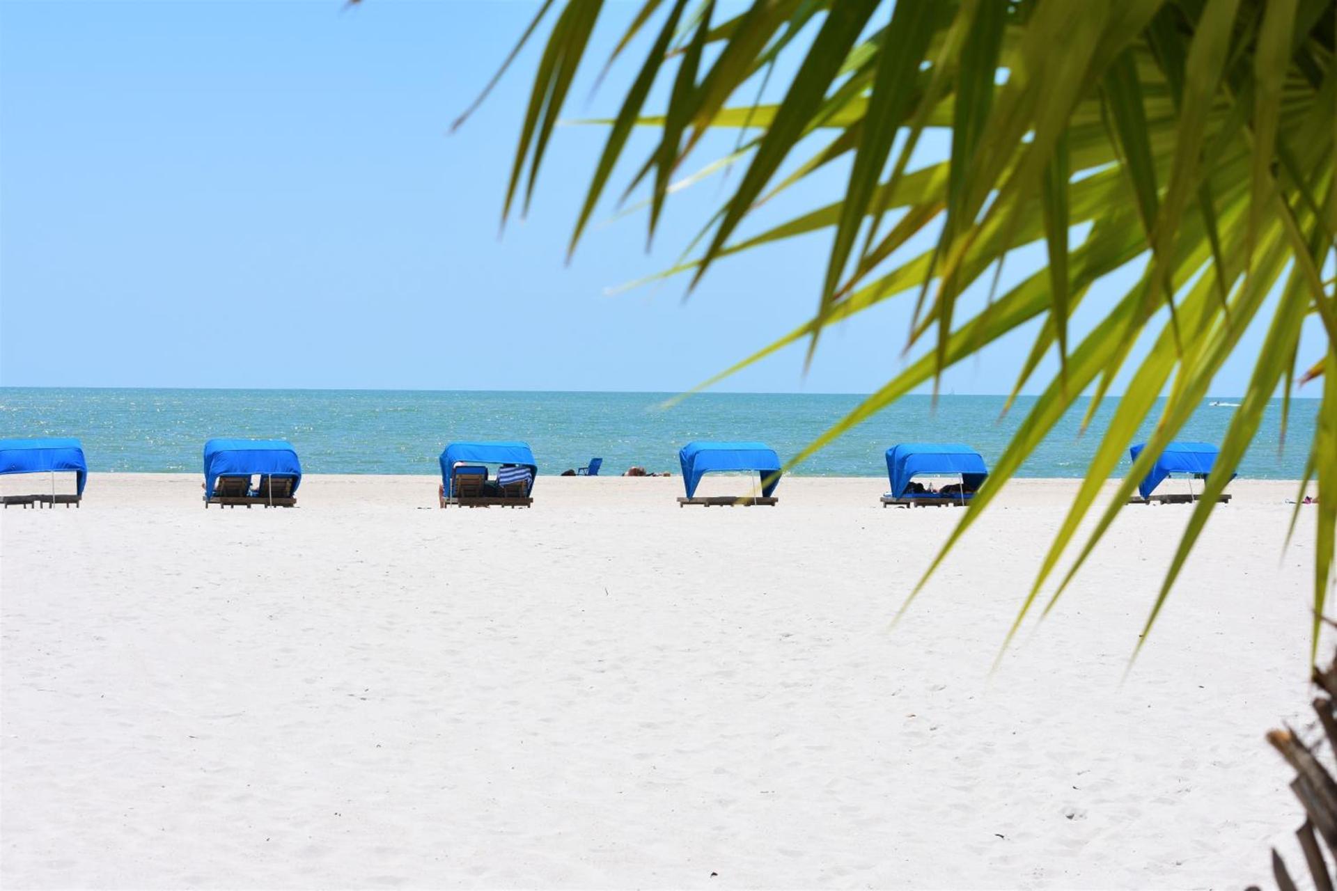 Barefoot Beach Club photo 13