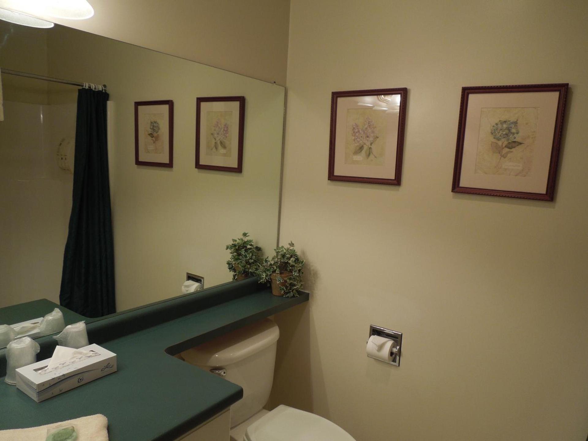 Eastern Slope Inn Resort photo 13