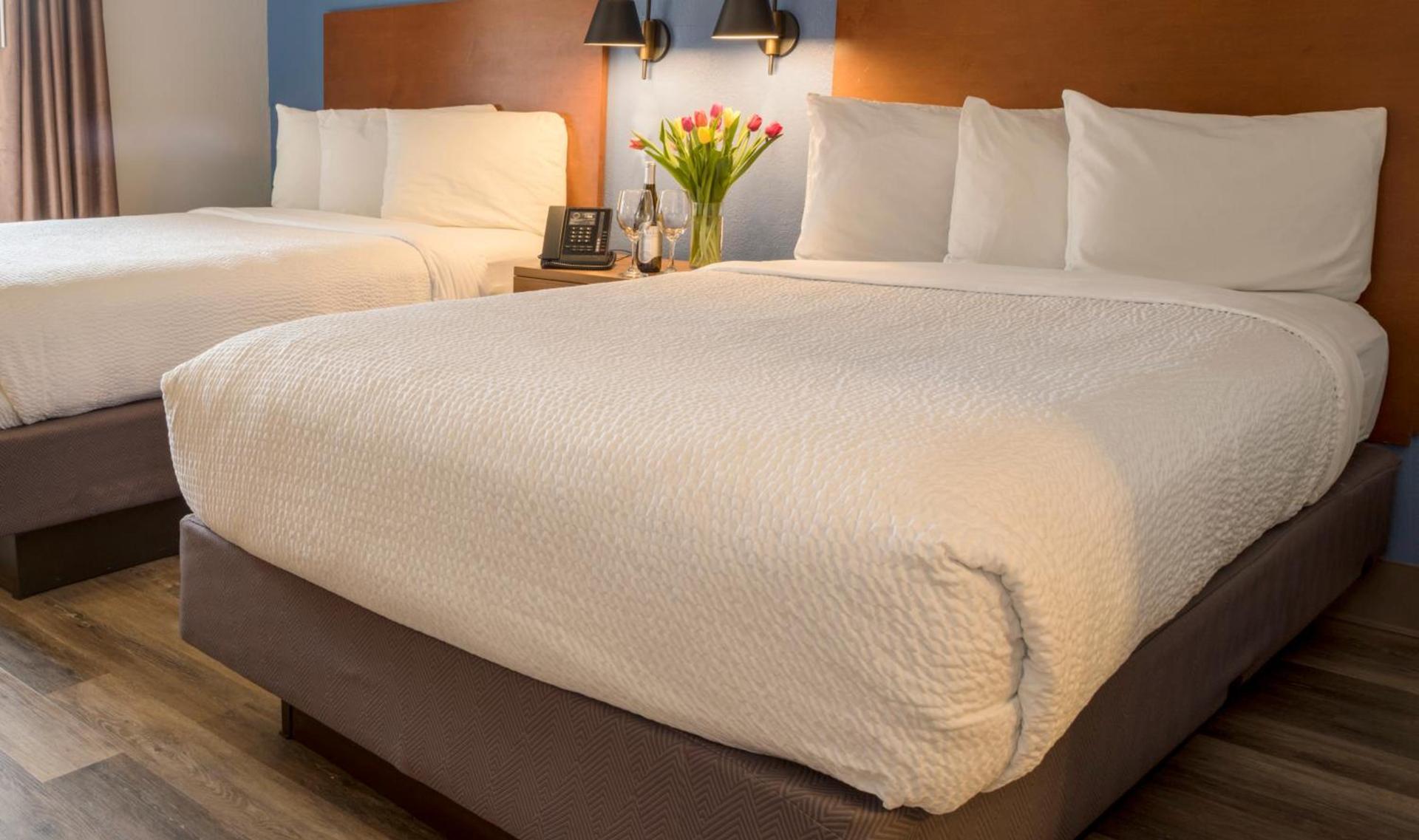 Hotel Focus SFO photo 8