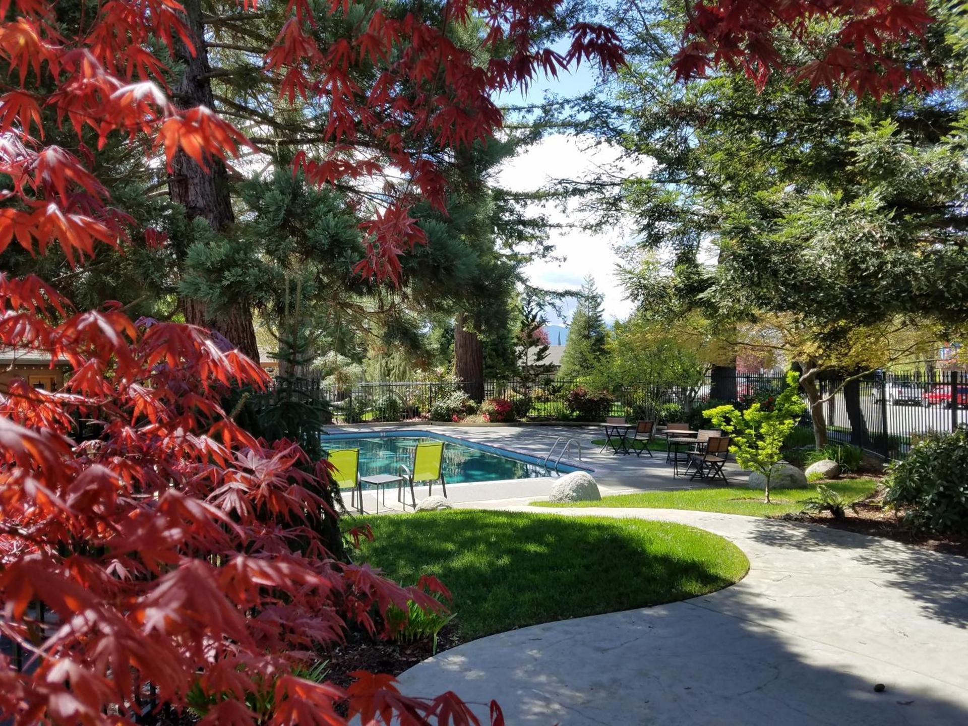 Redwood Hyperion Suites photo 5