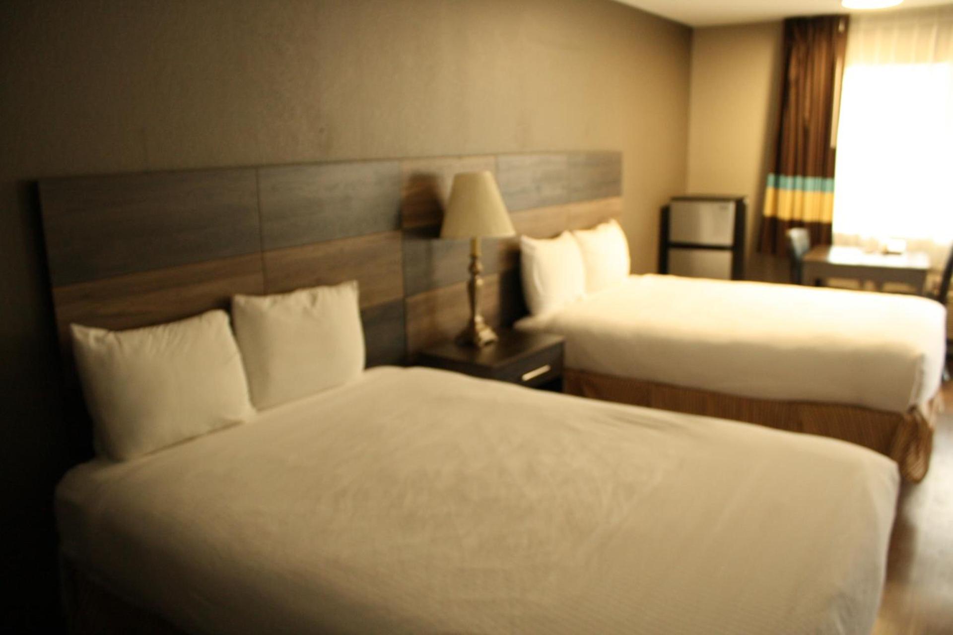Cozy Inn photo 15