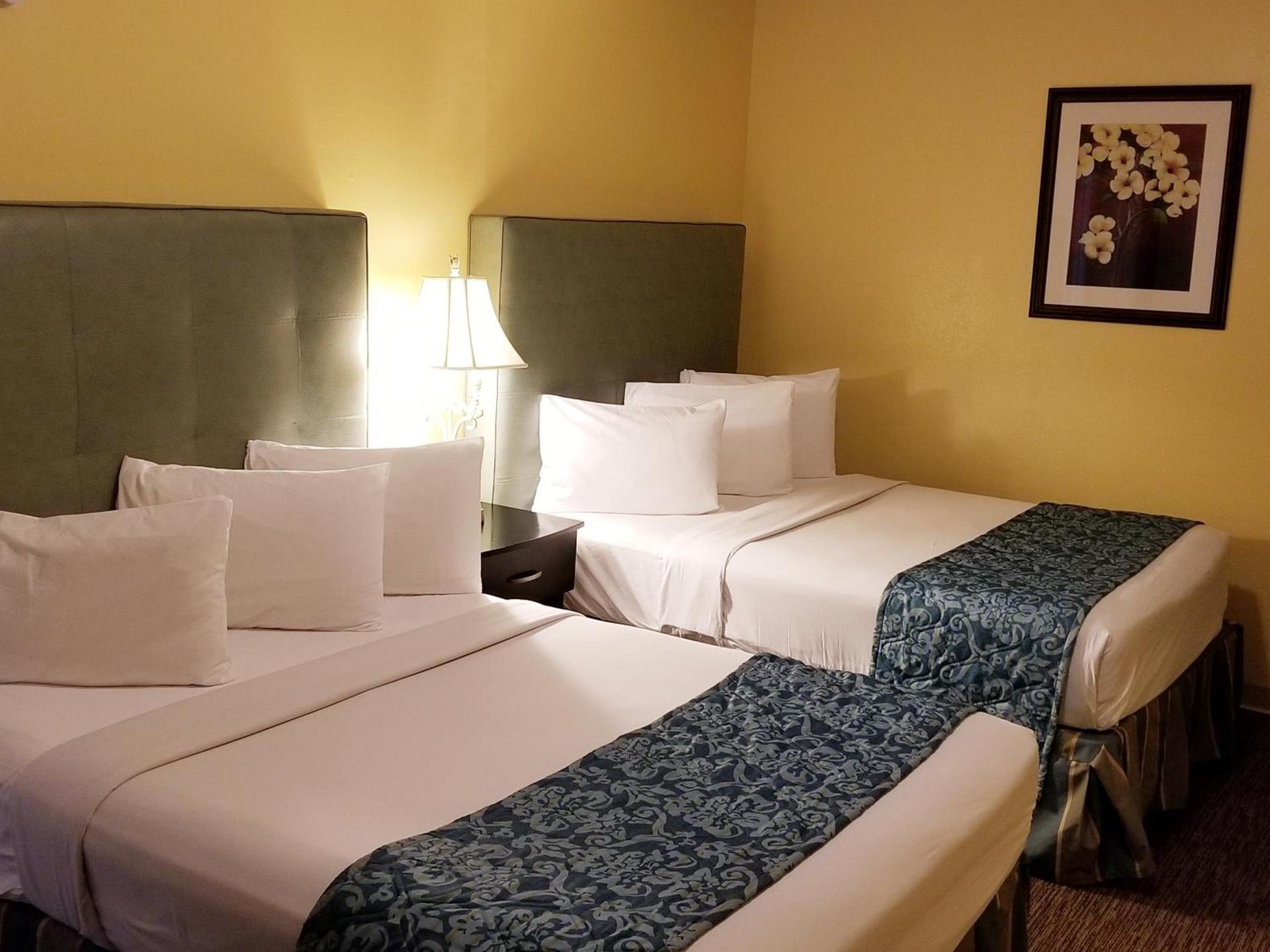 Shining Light Inn & Suites photo 6