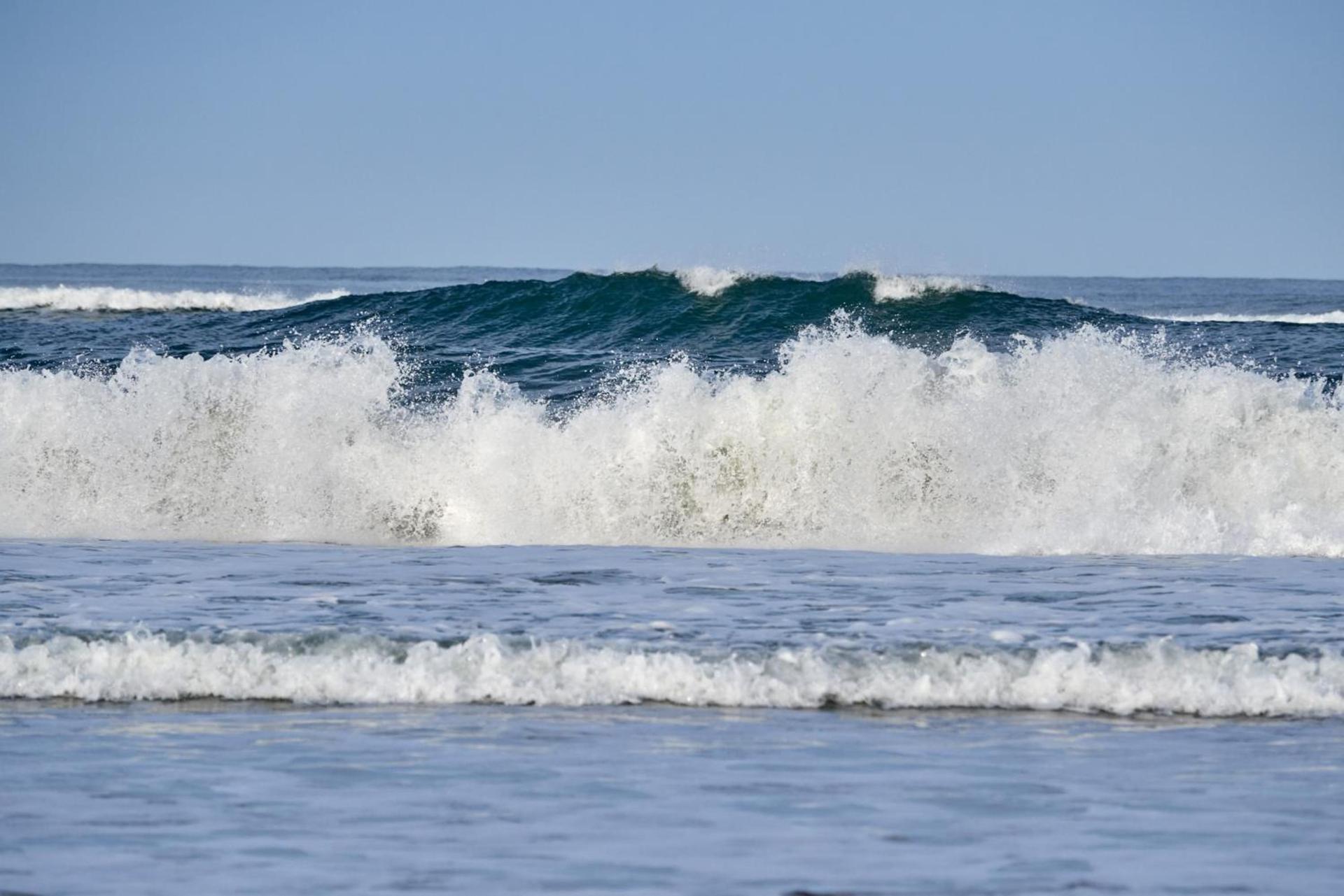 Best Western Plus Agate Beach Inn photo 9