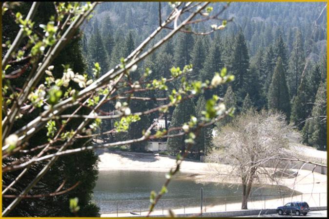 The North Shore Inn photo 35